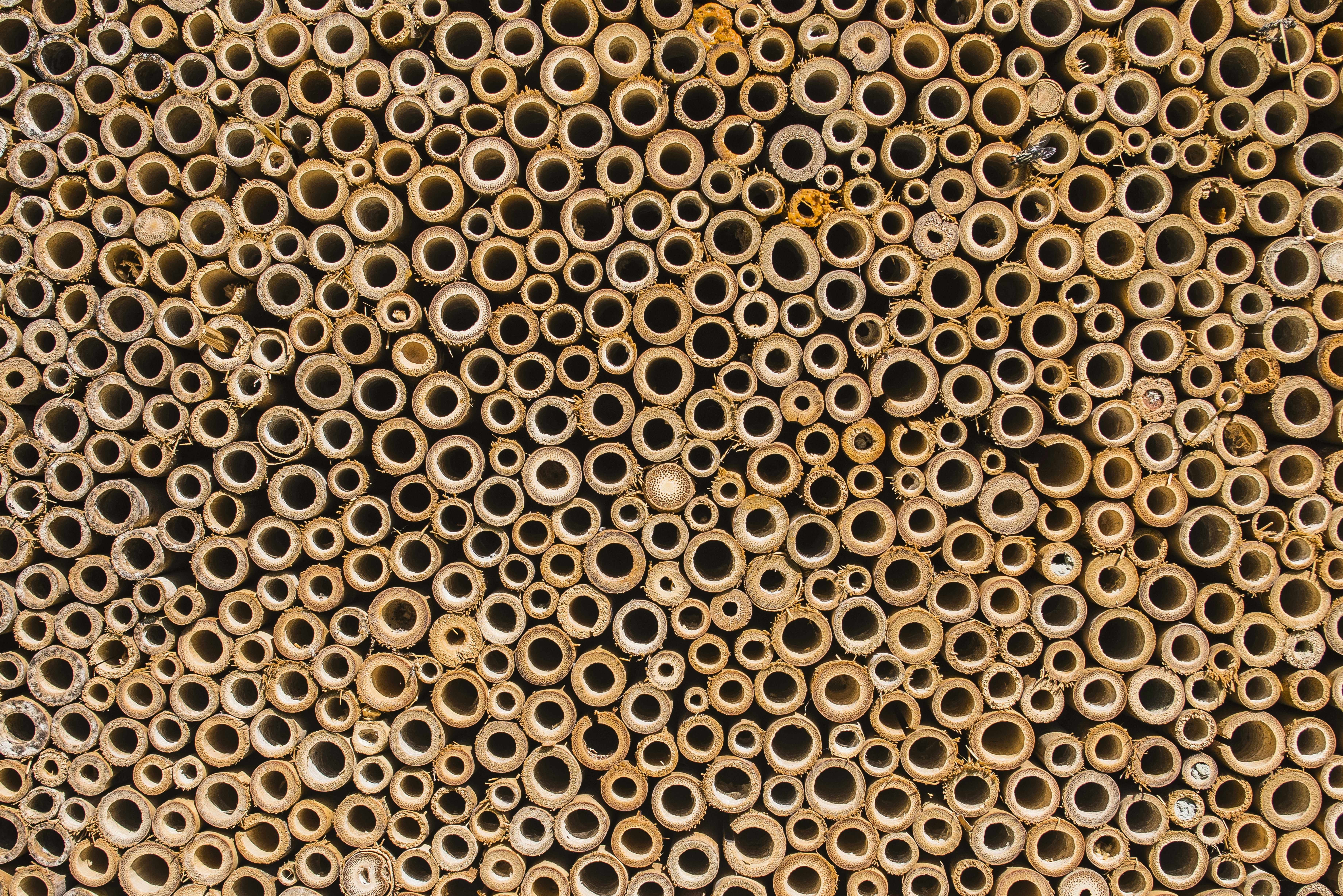 Photo by switch_dtp_fotografie