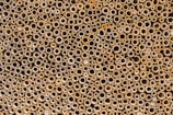 black and white polka dot textile