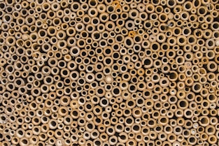 black and white polka dot textile