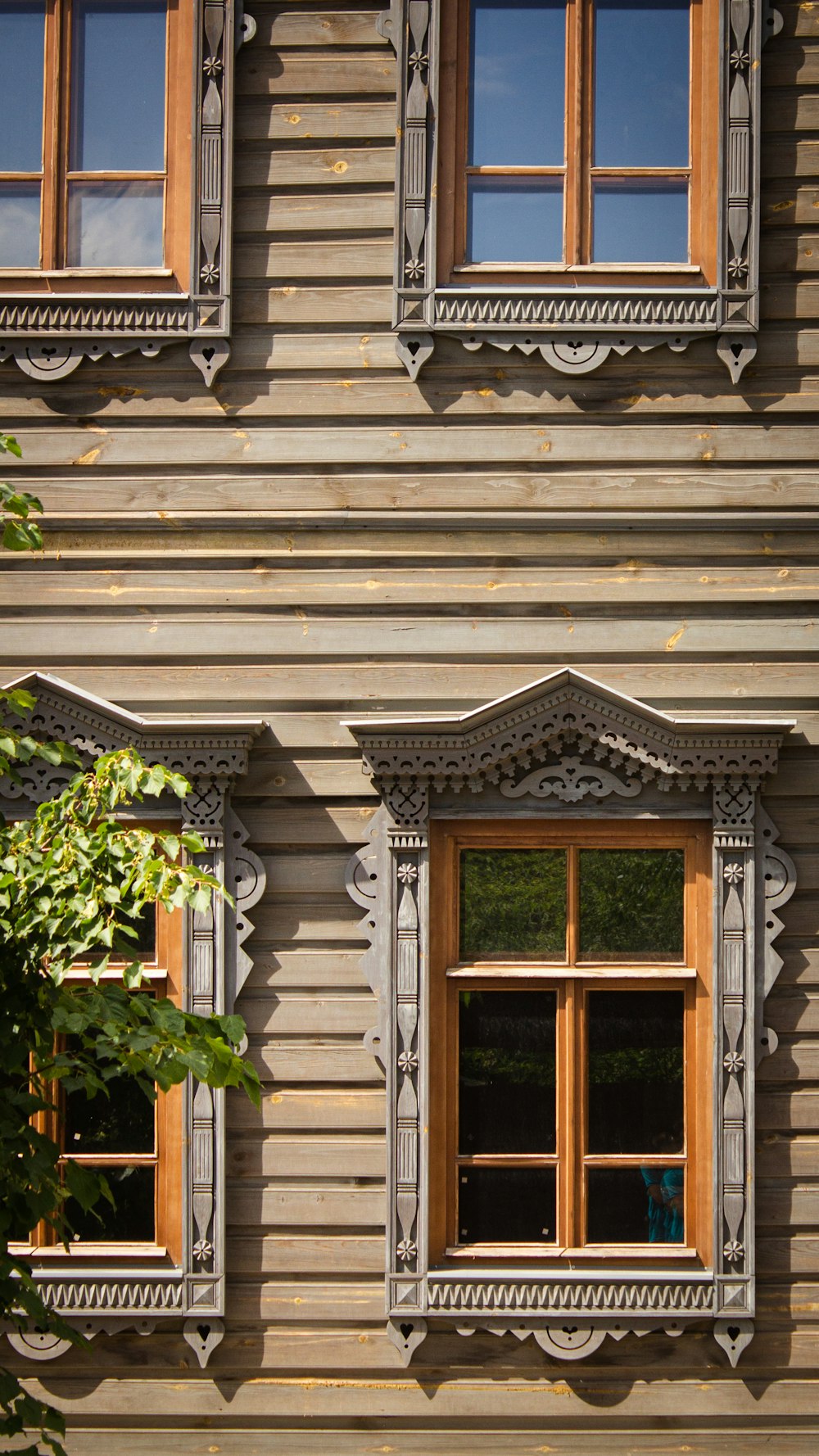 brown wooden door with green plants