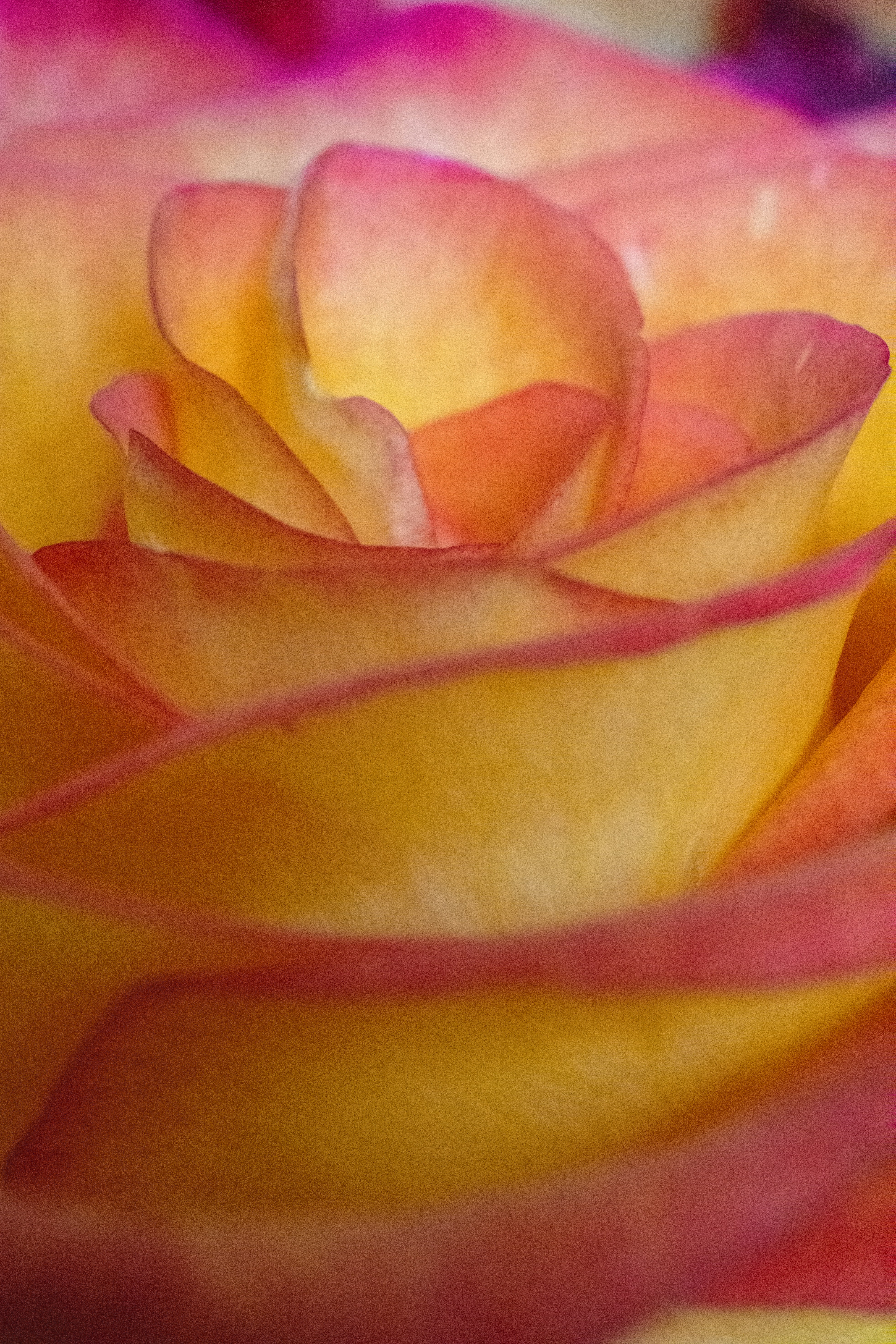 Photo by mike_castro_demaria