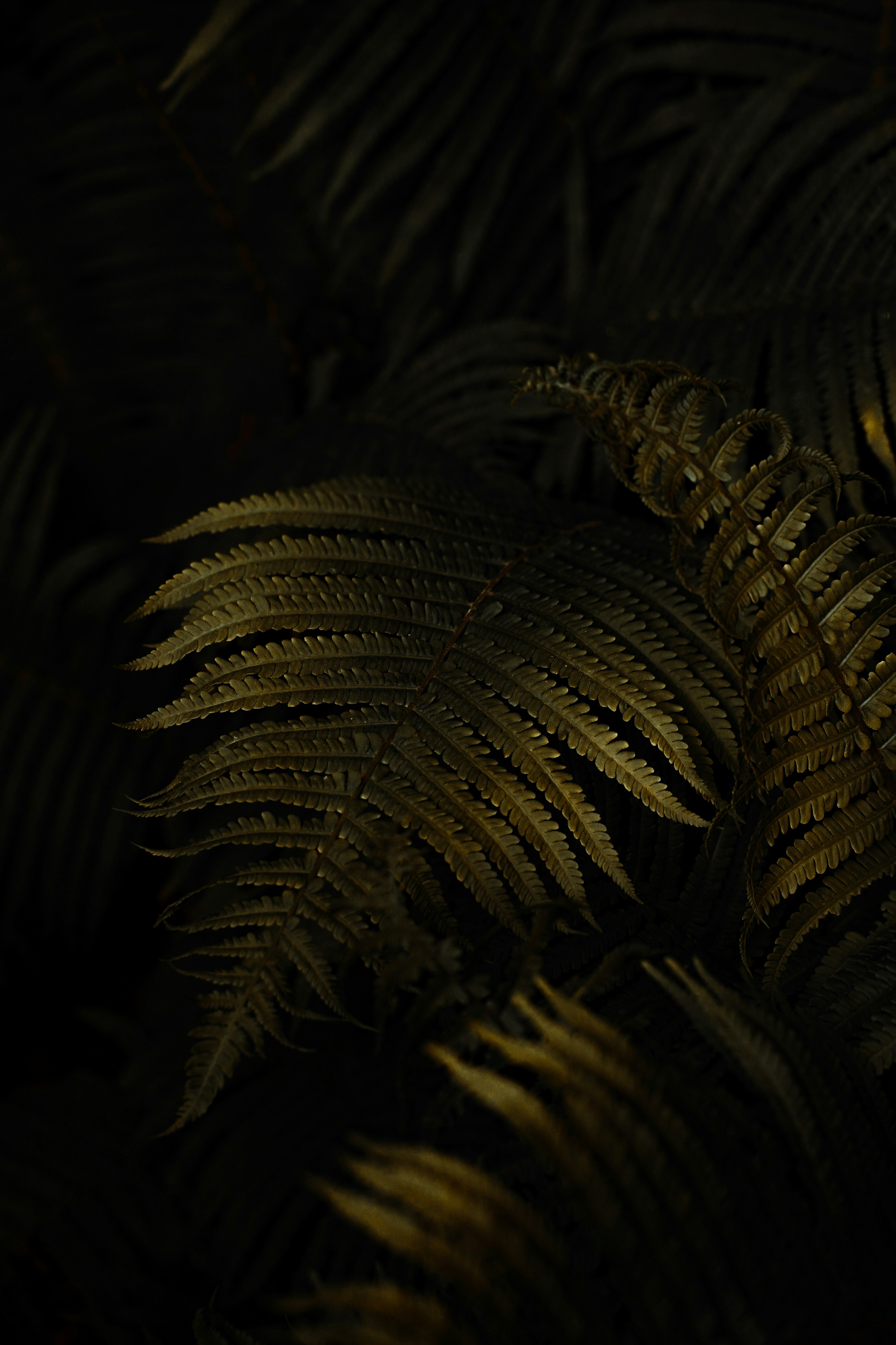 Photo by leandrarieger