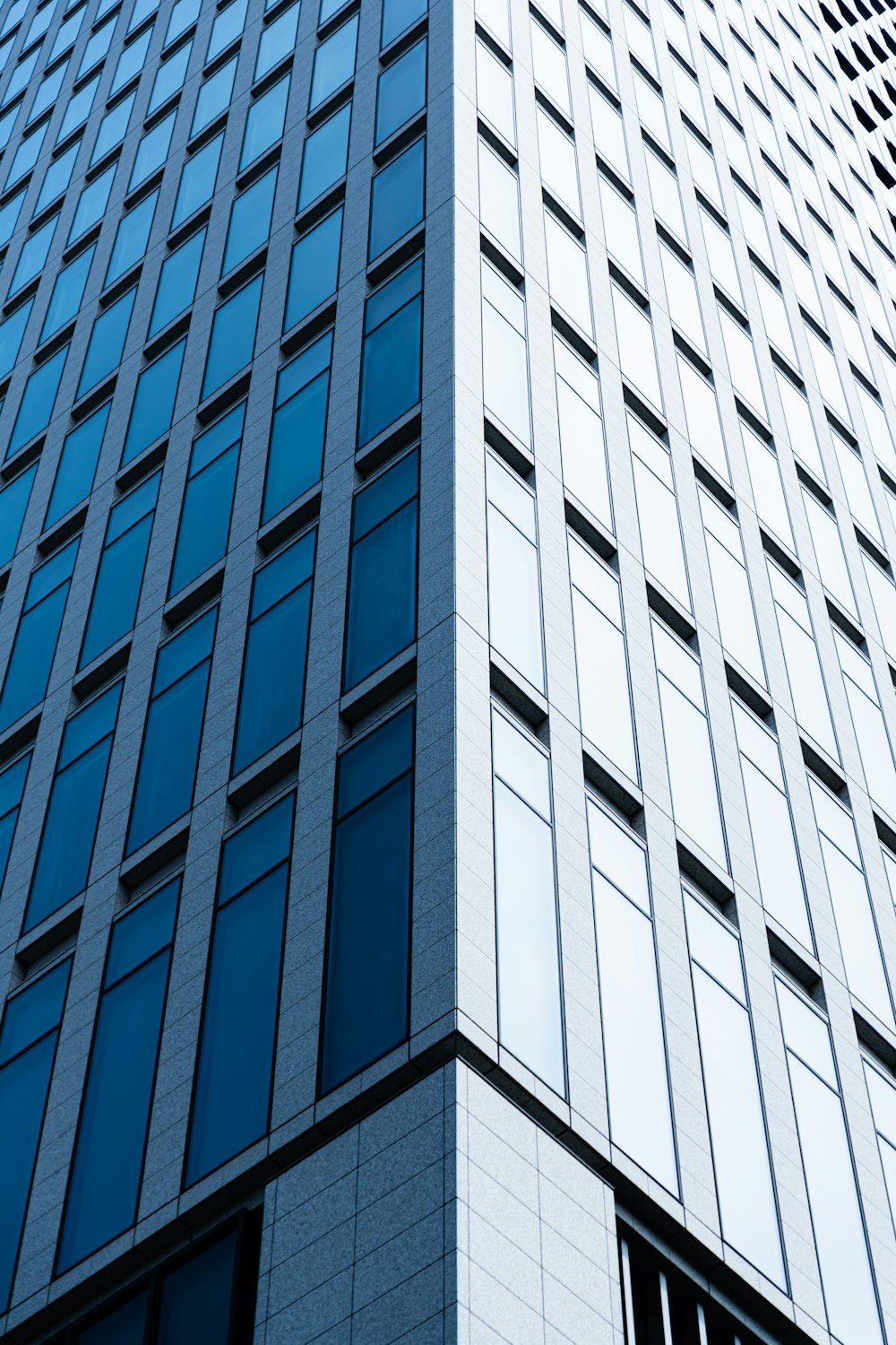 Bâtiment en béton blanc et bleu