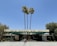 A mid-century modern building with a flat roof and large sign that reads 'Palm Springs City Hall' is fronted by three tall palm trees. The architecture features clean lines and a minimalist aesthetic, typical of the period. Surrounding the building are neatly trimmed shrubs and plants, under a clear blue sky.