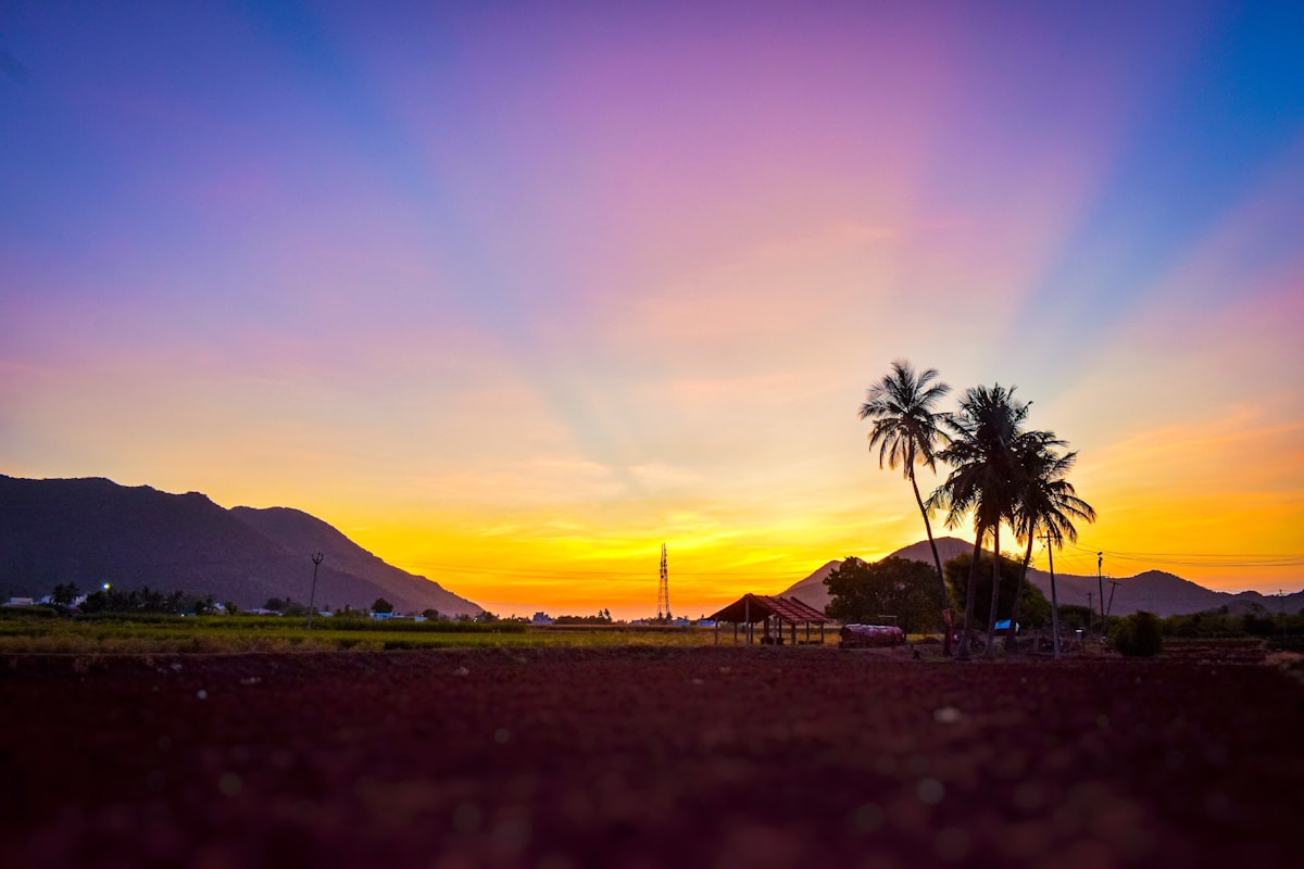A serene sunrise over calm nature