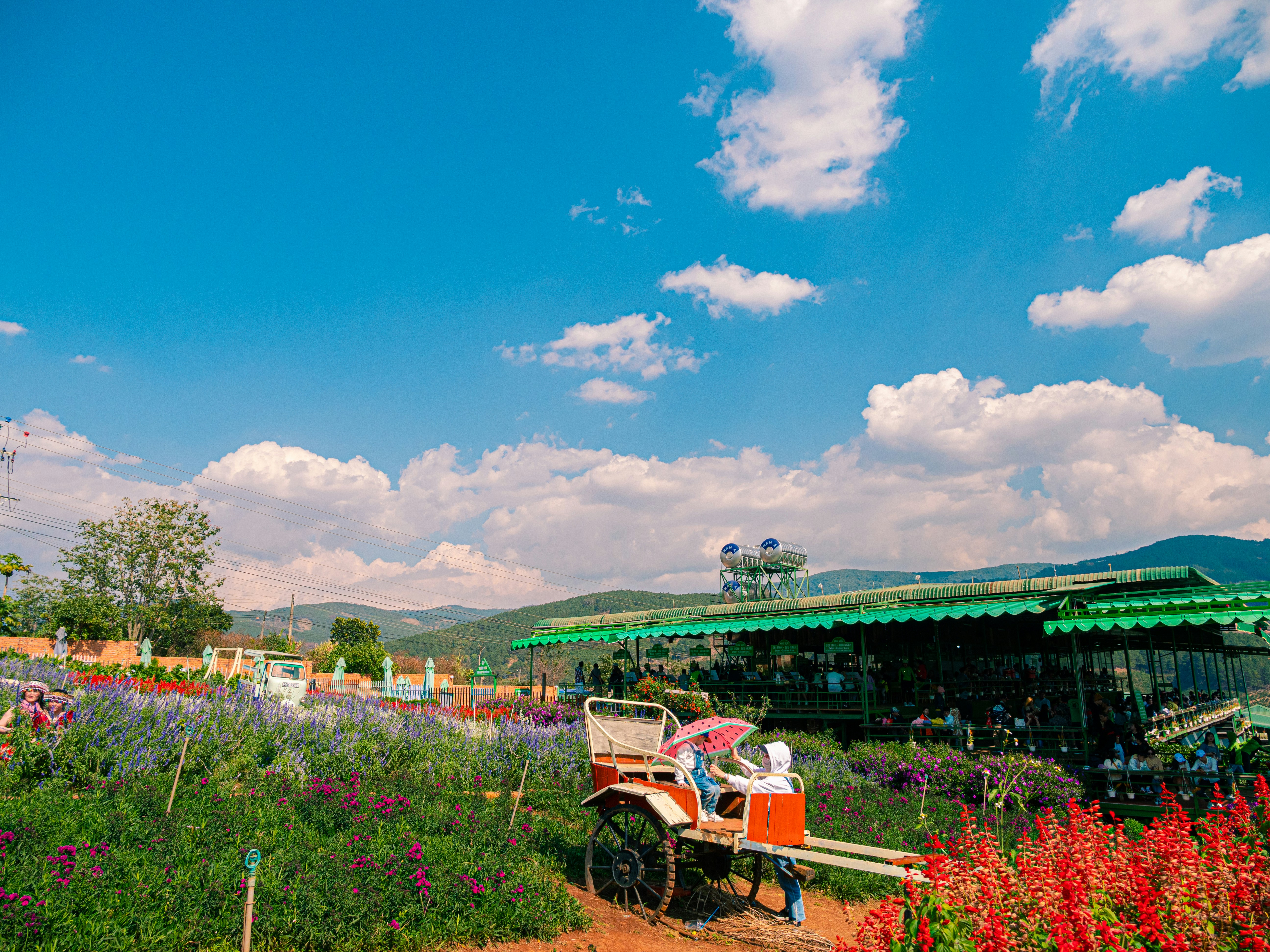 Traditional farm setup