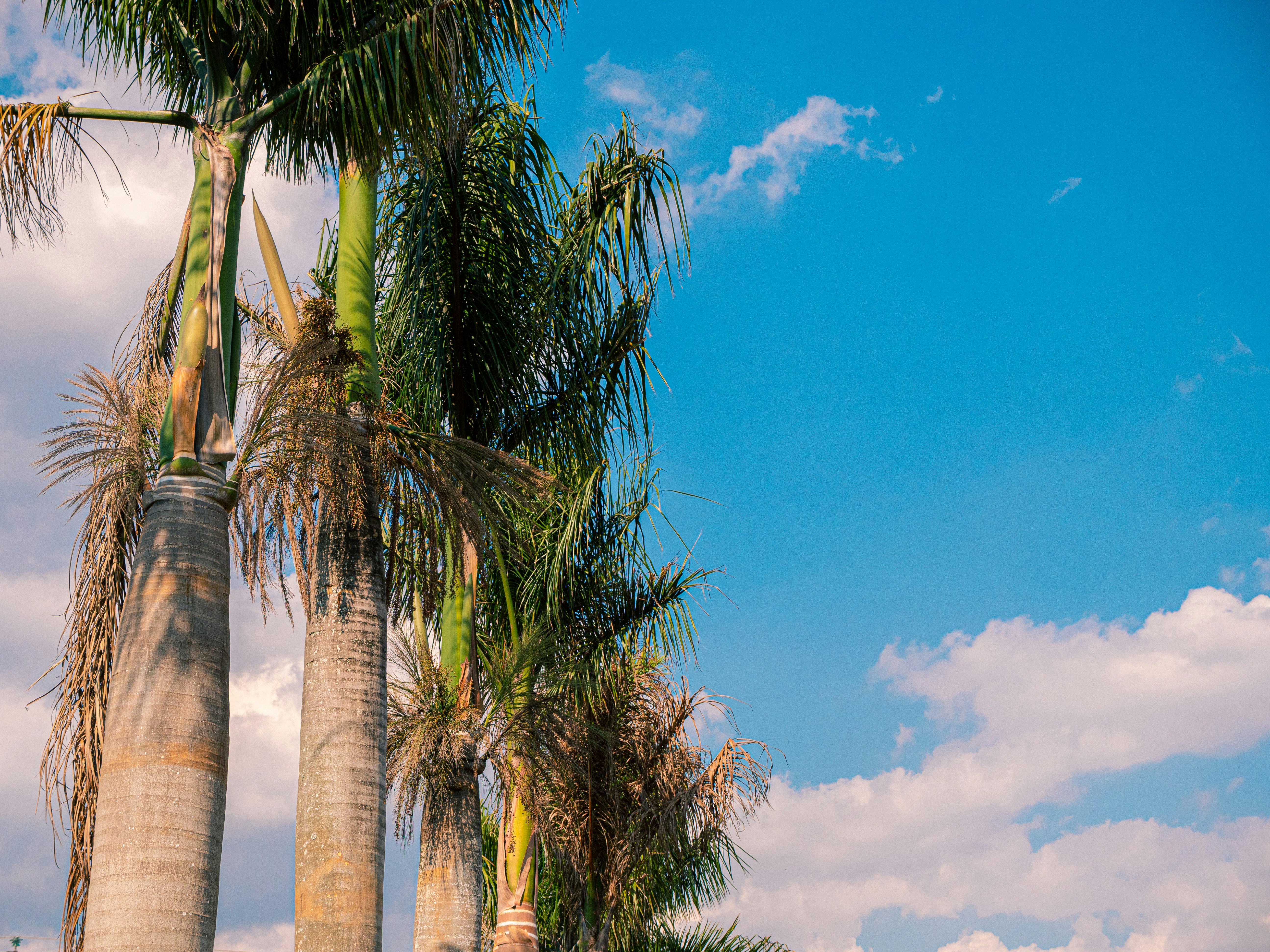 Photo by brother_yoon