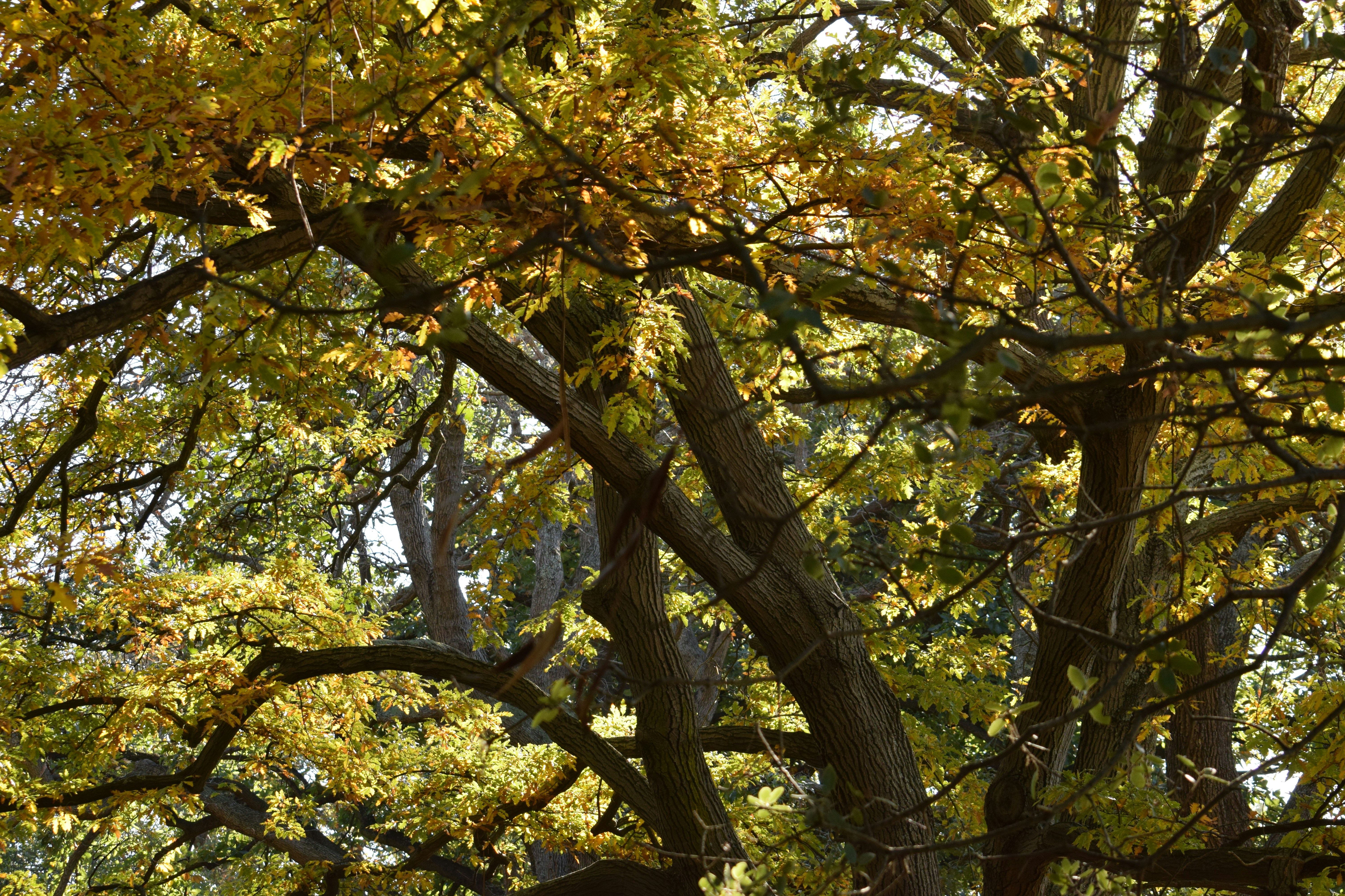 Photo by ch_photography