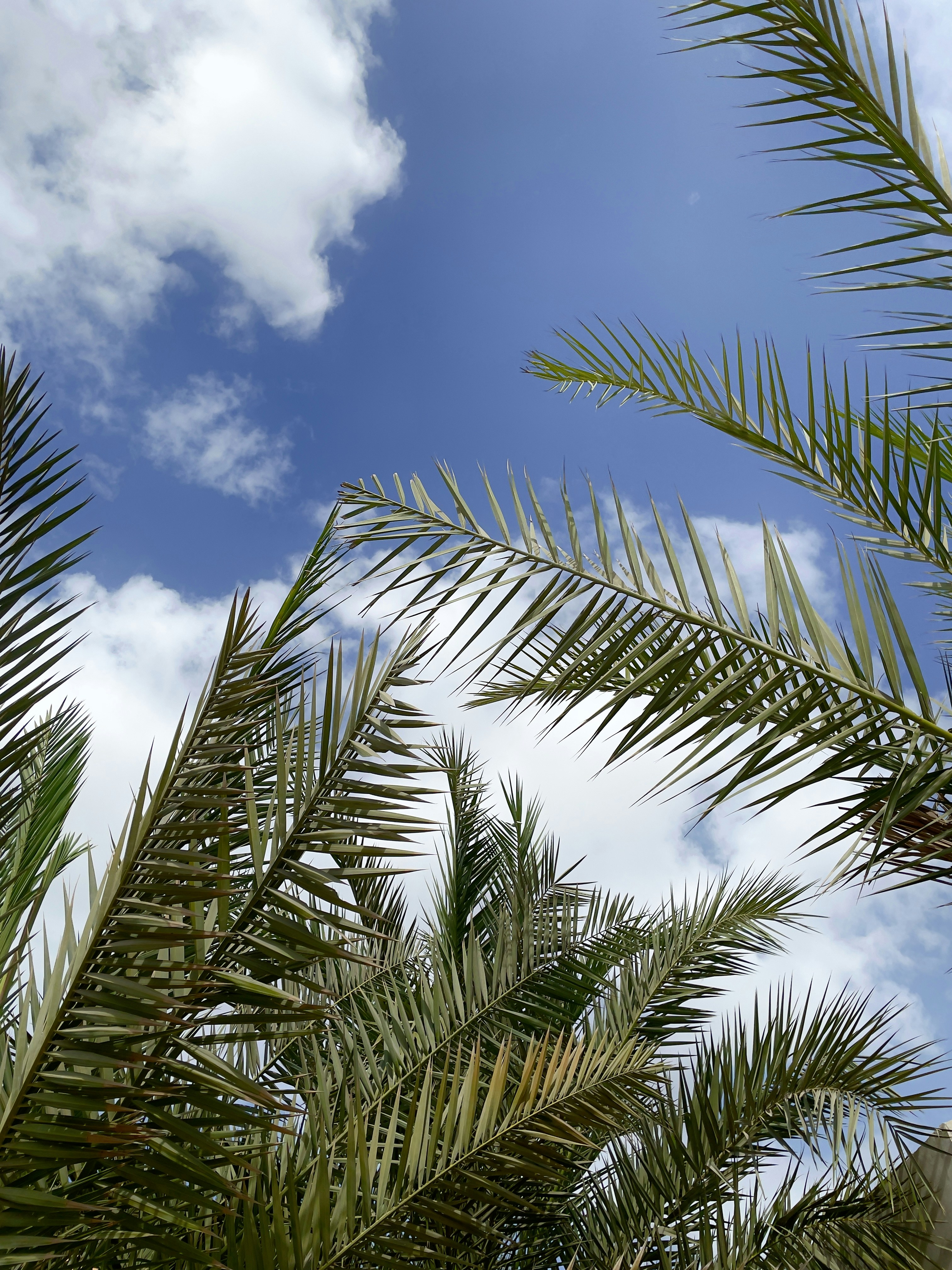 Photo by mo_design_3d