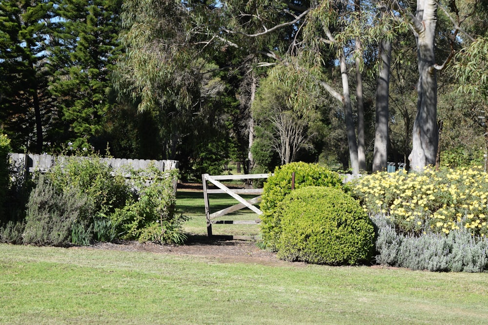 green grass field with brown wooden fence