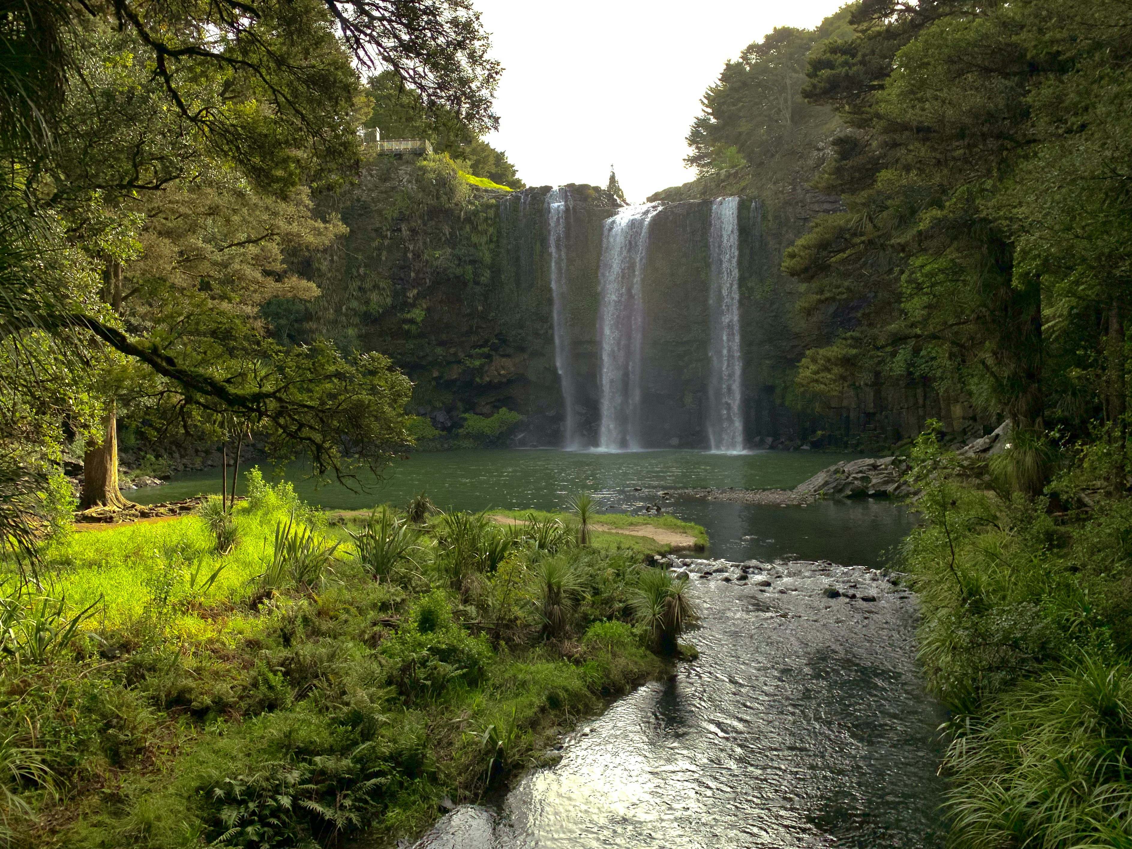 Photo by ltdphtgrphs