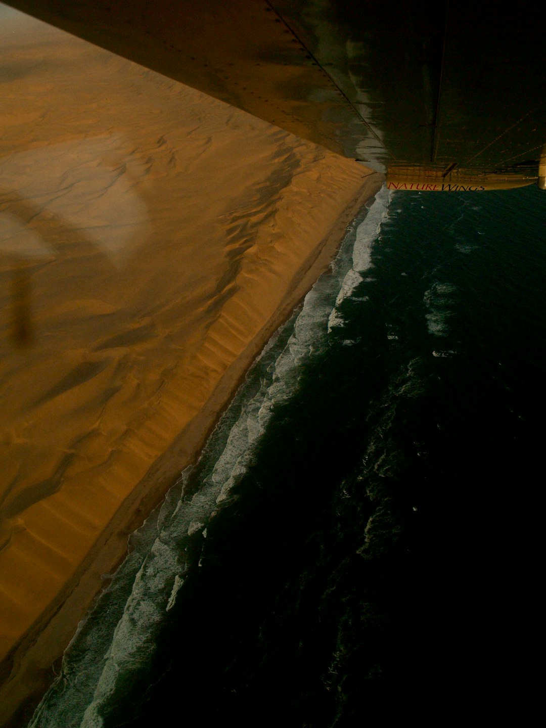 brown sand near body of water during daytime