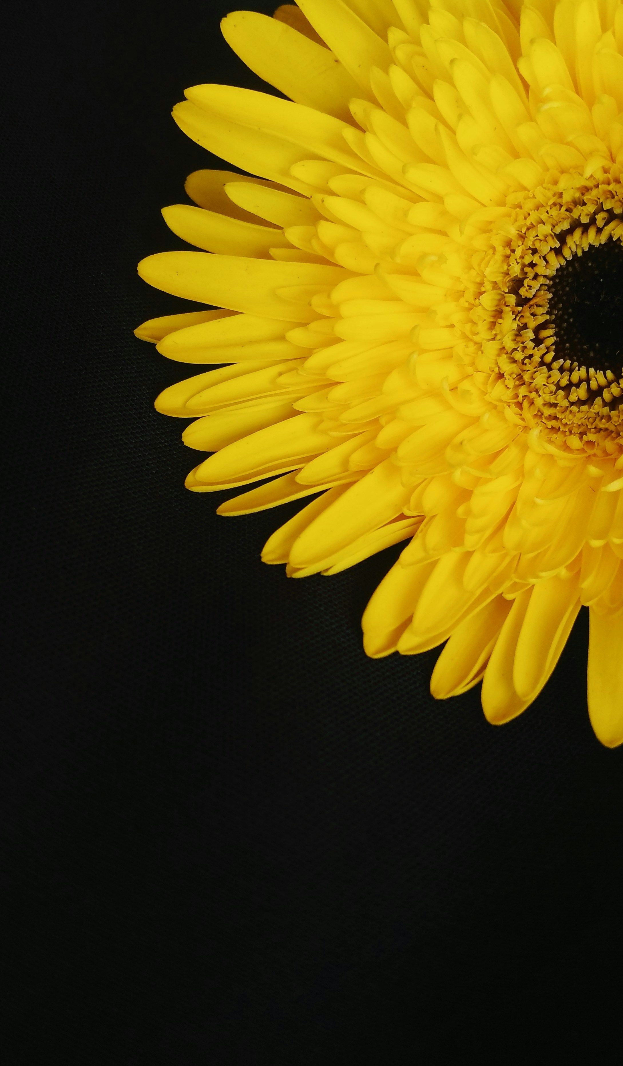 Photo by shree_kaware