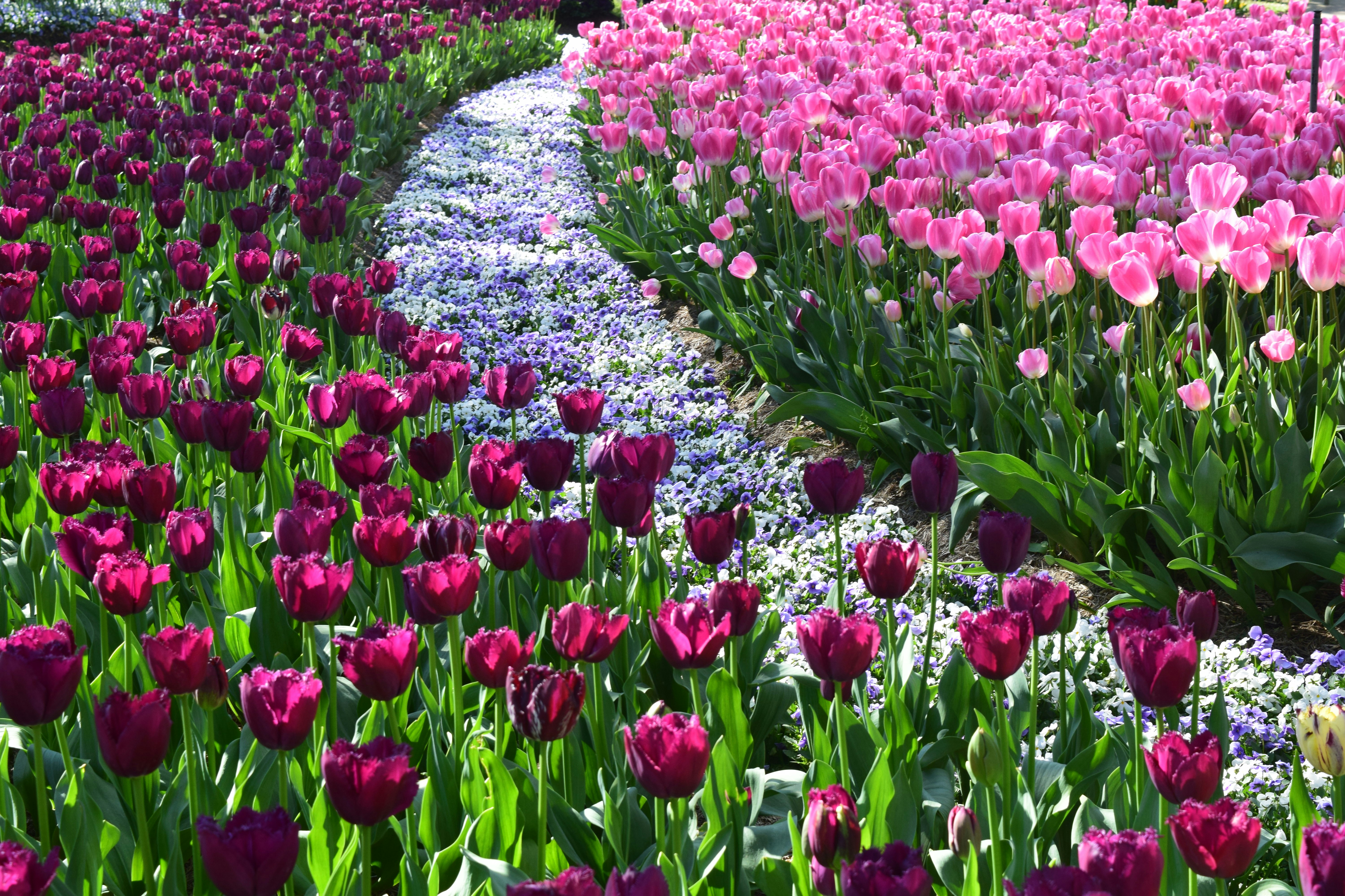 Photo by ch_photography