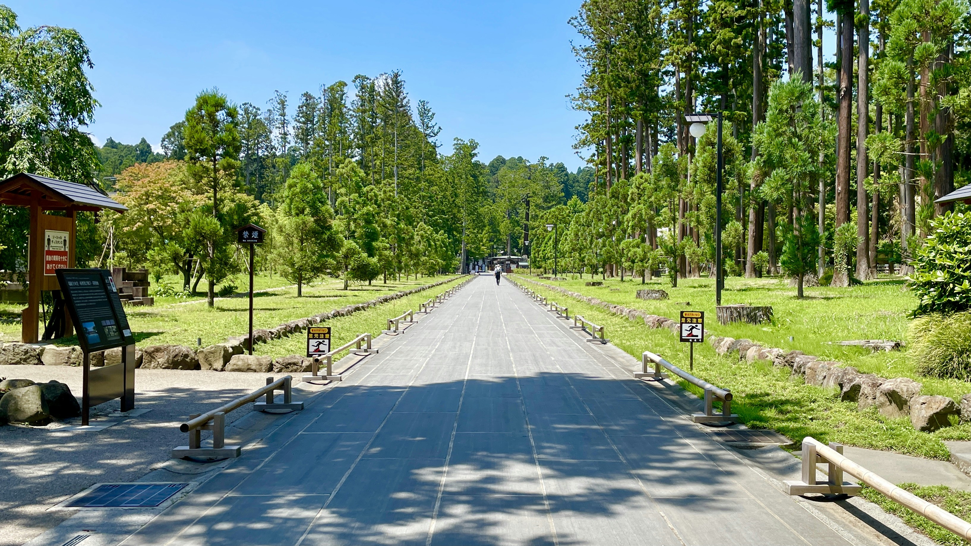 black asphalt road between green trees during daytime