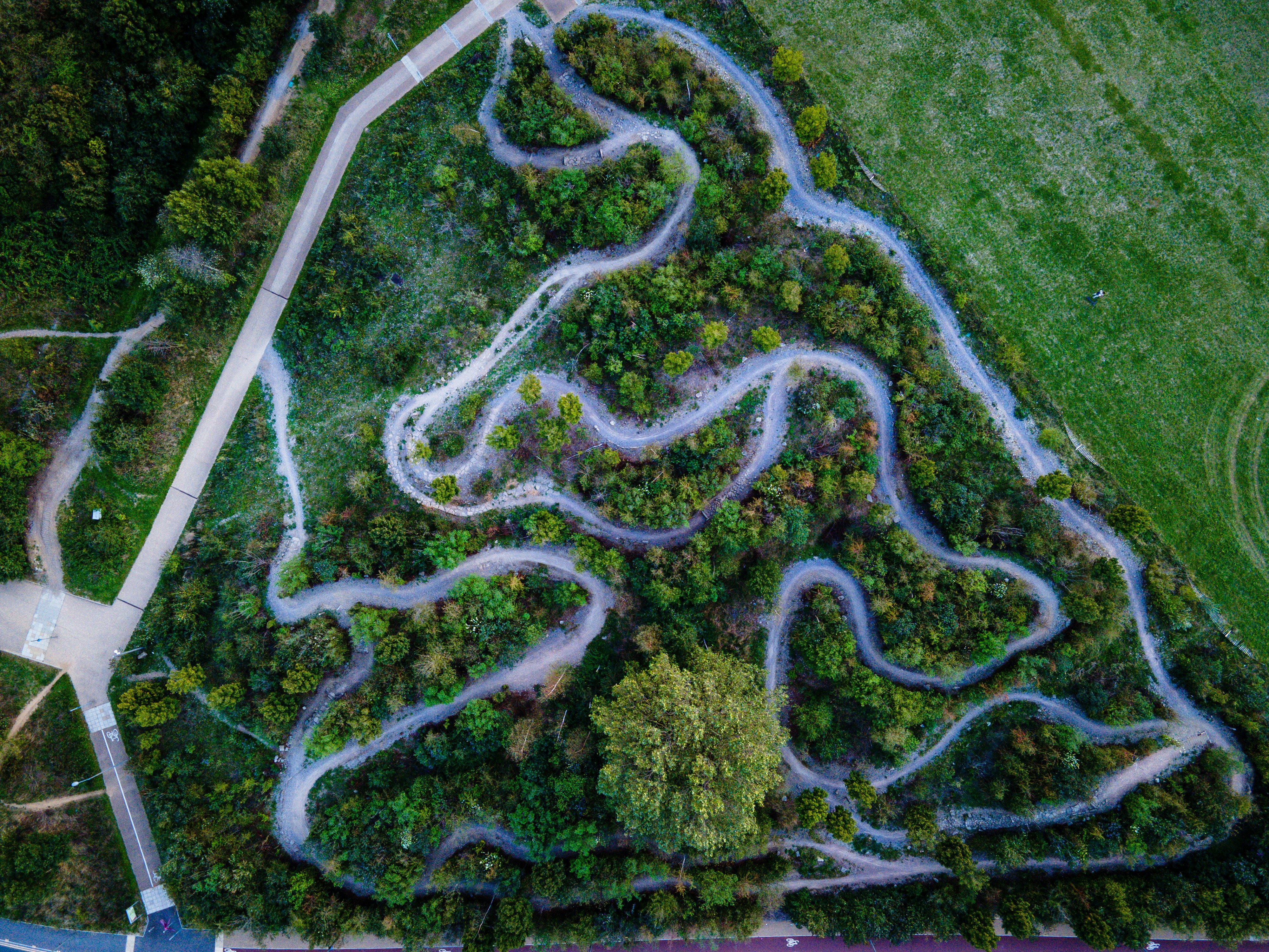 green grass field with white line