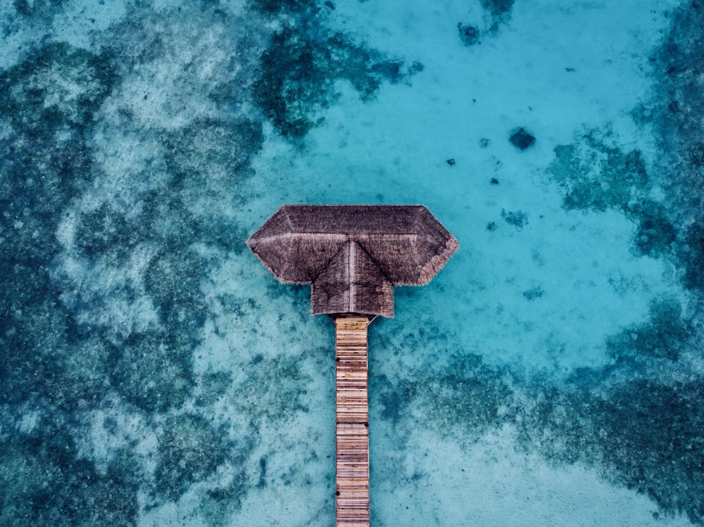 brown wooden dock on body of water