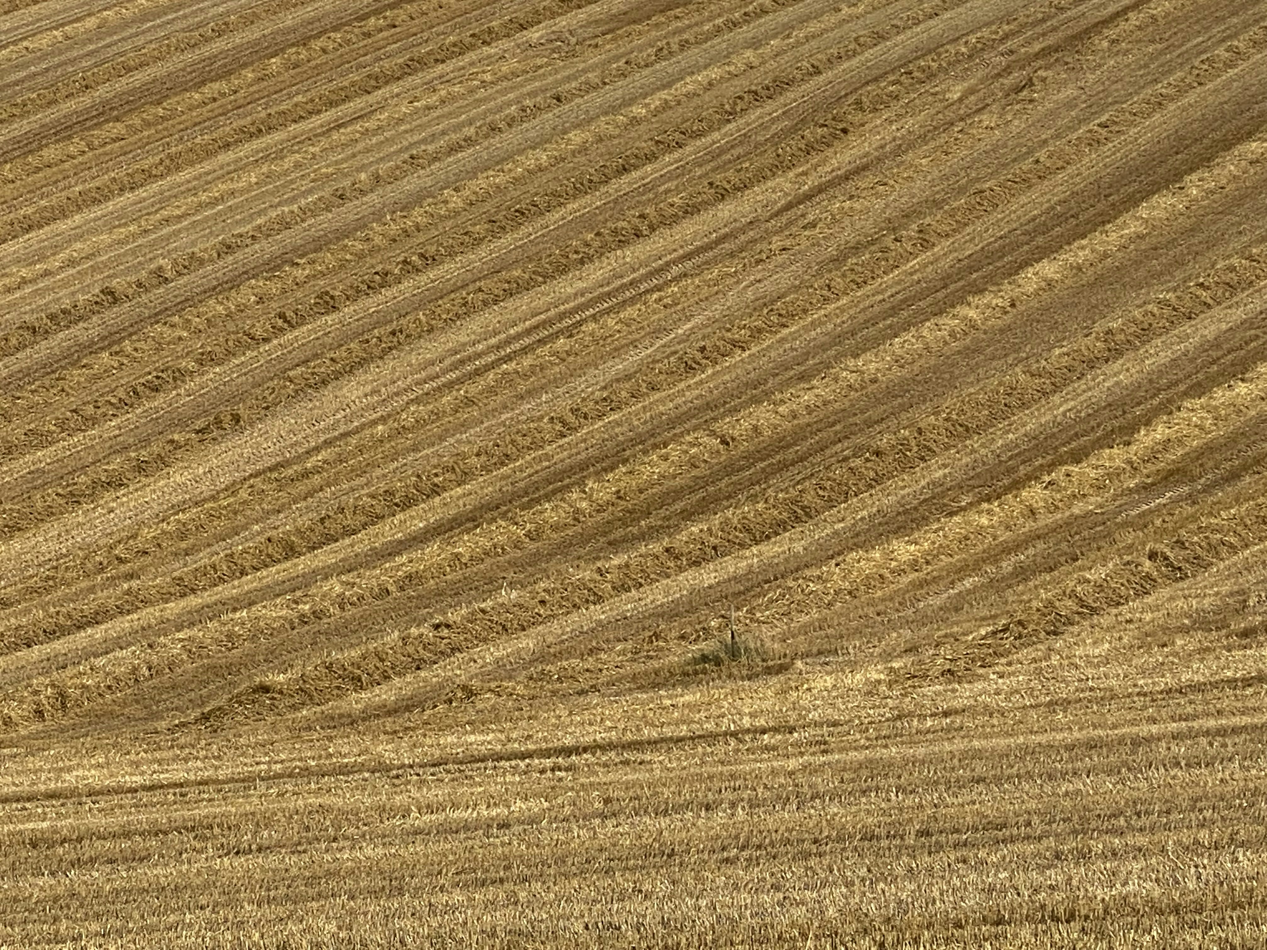 Photo by claudiopoggio