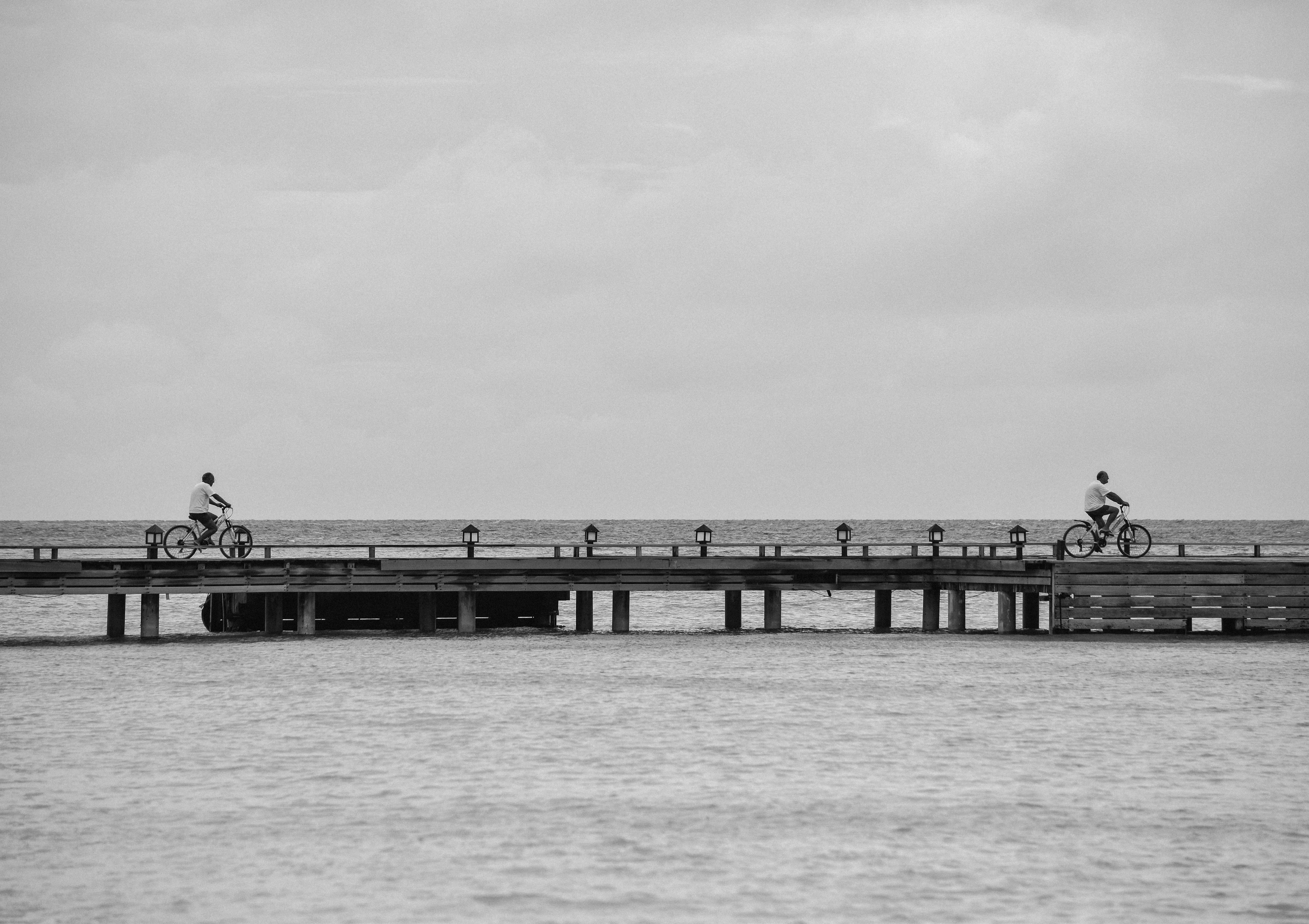 grayscale photo of a dock