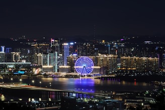 ferris wheel near city buildings during night time