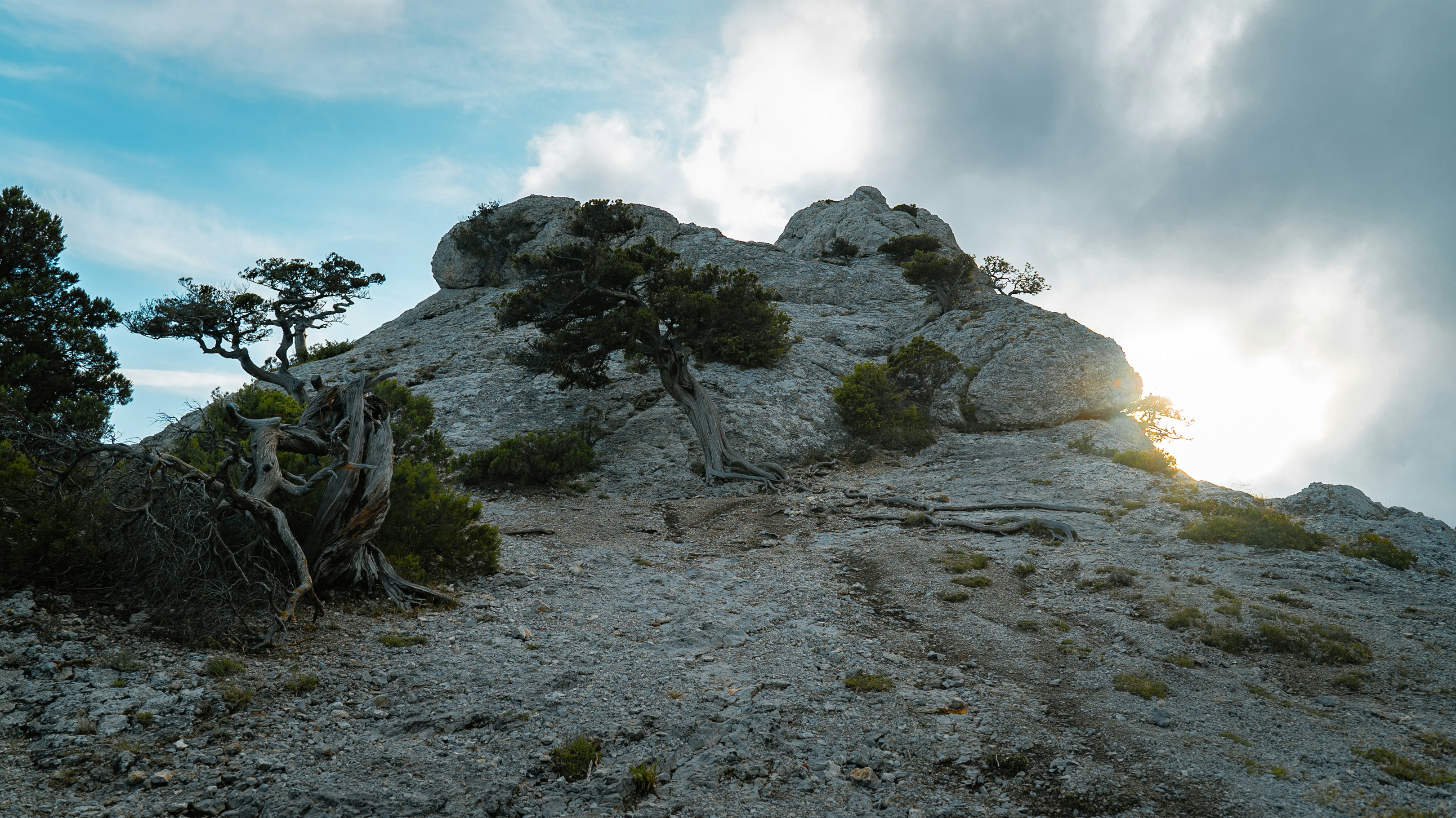 Photo by kirillpershin