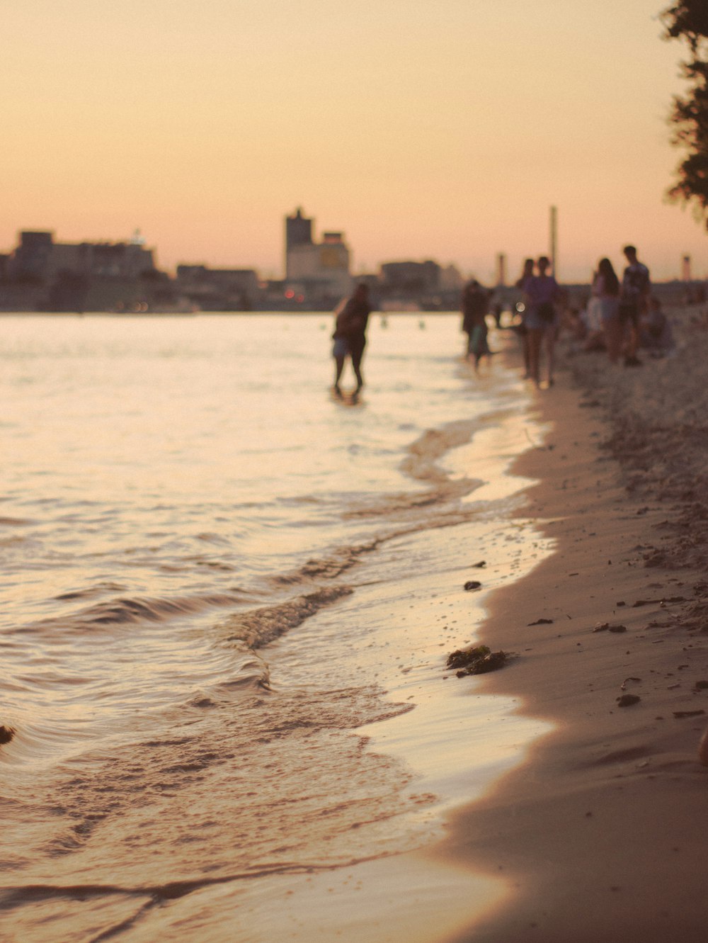 people walking on beach during daytime