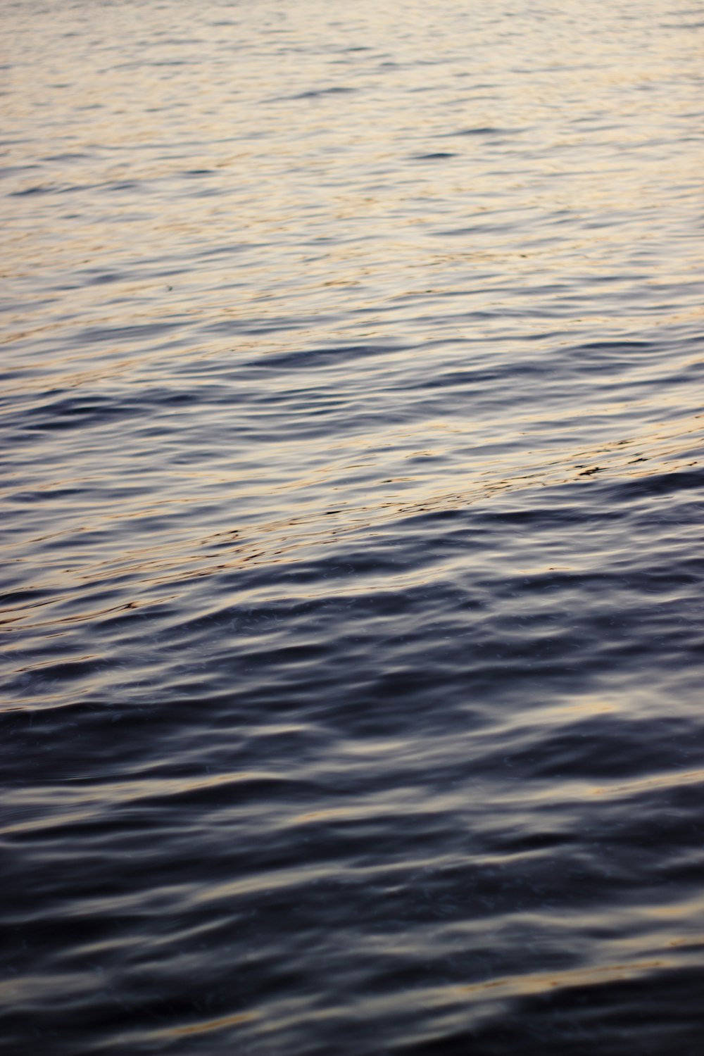 plan d’eau pendant la journée