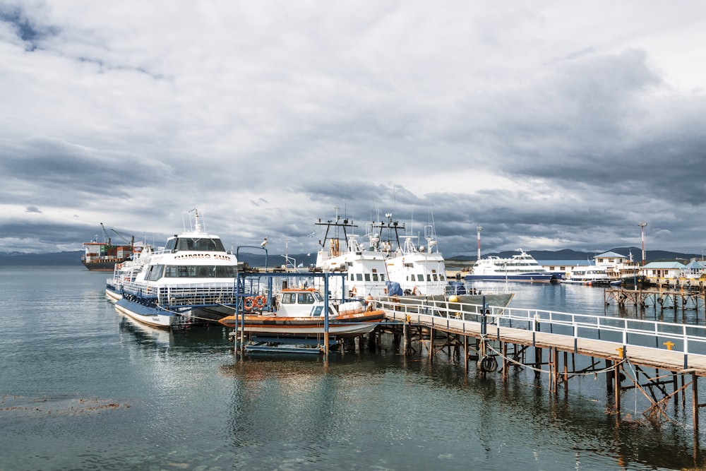 white and brown boat on dock during daytime