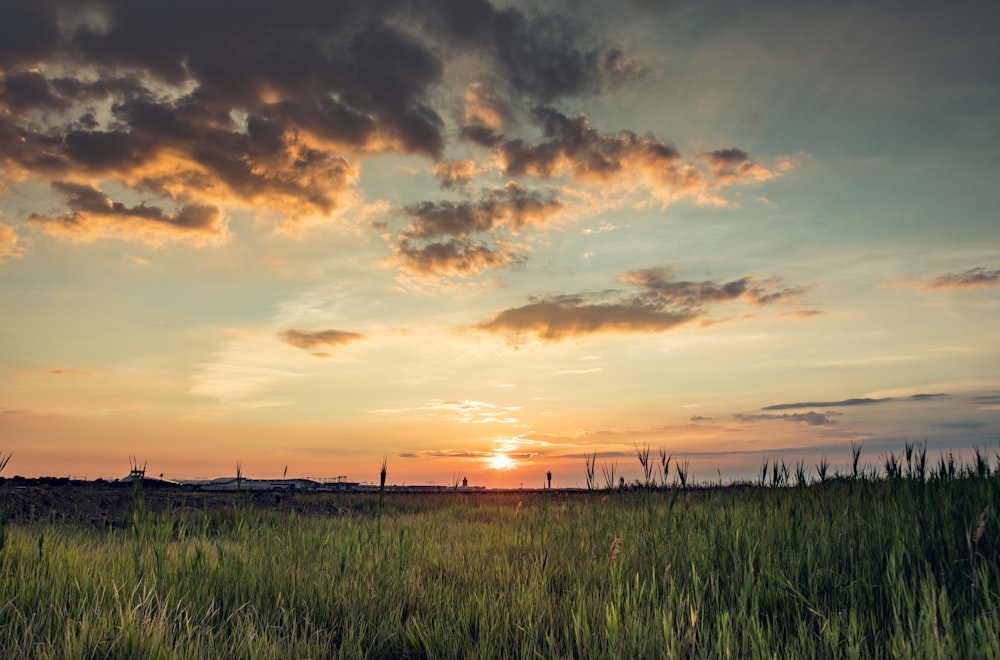 green grass field under cloudy sky during sunset