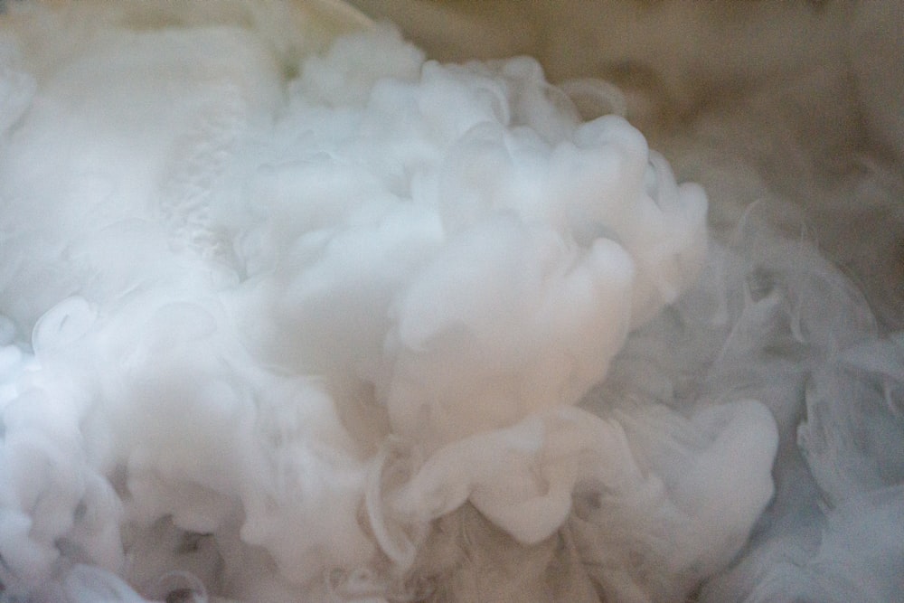 does publix sell dry ice?
