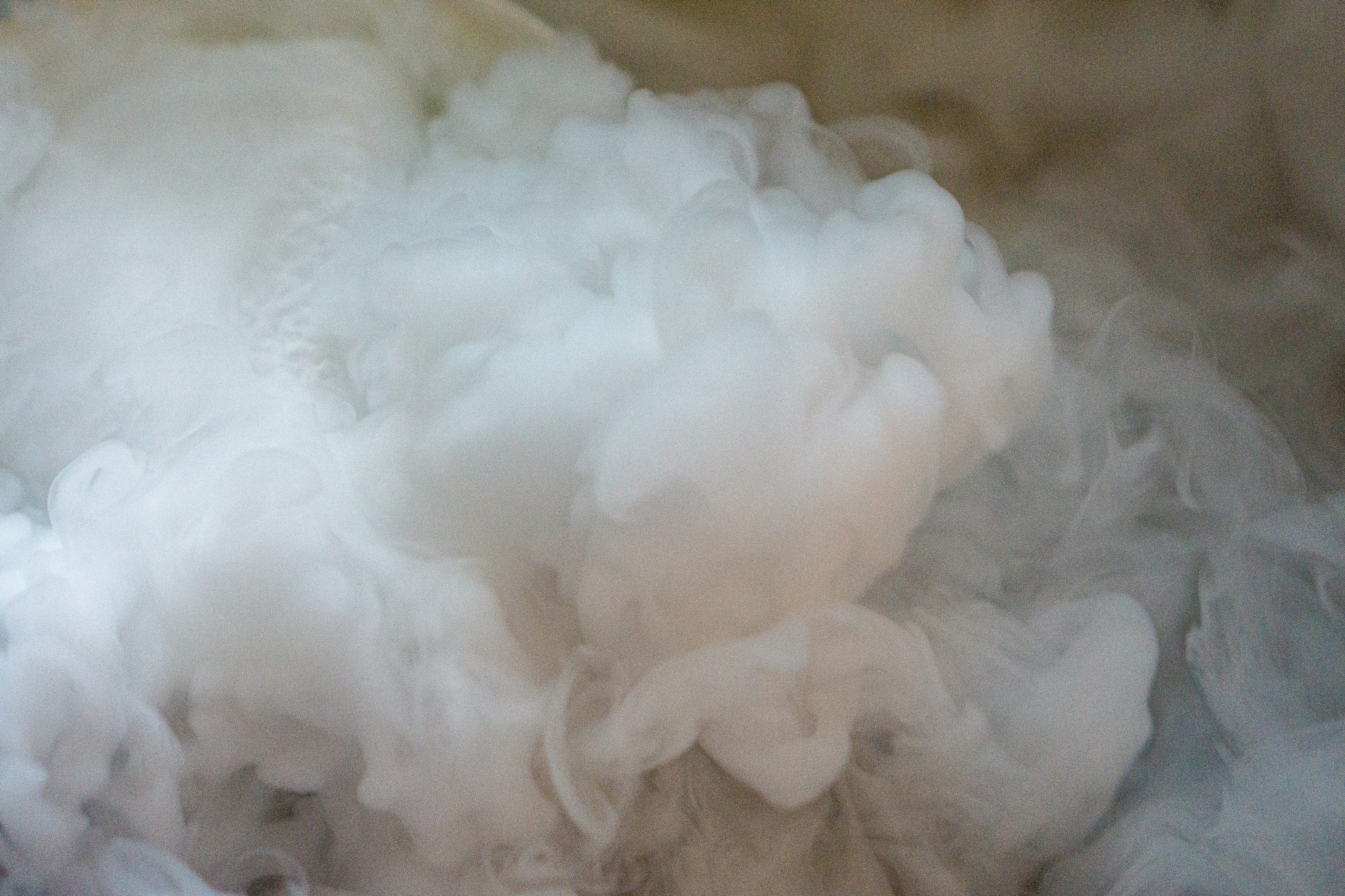 Smoke Machine Pictures Download Free Images on Unsplash Smoke Machine Pictures Download Free Images on Unsplash