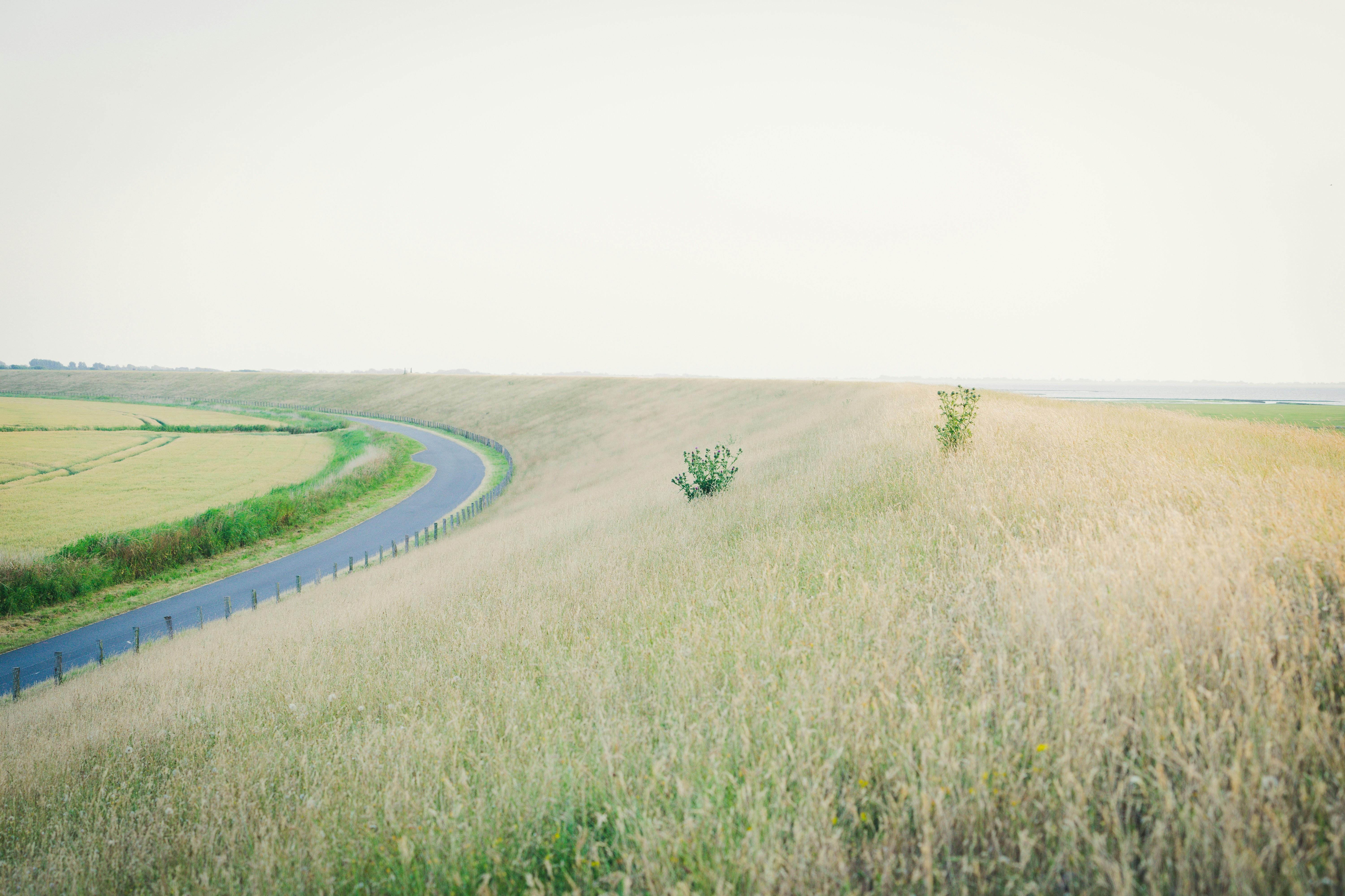 Photo by theverticalstory