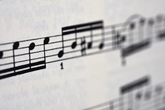 black and white electric guitar