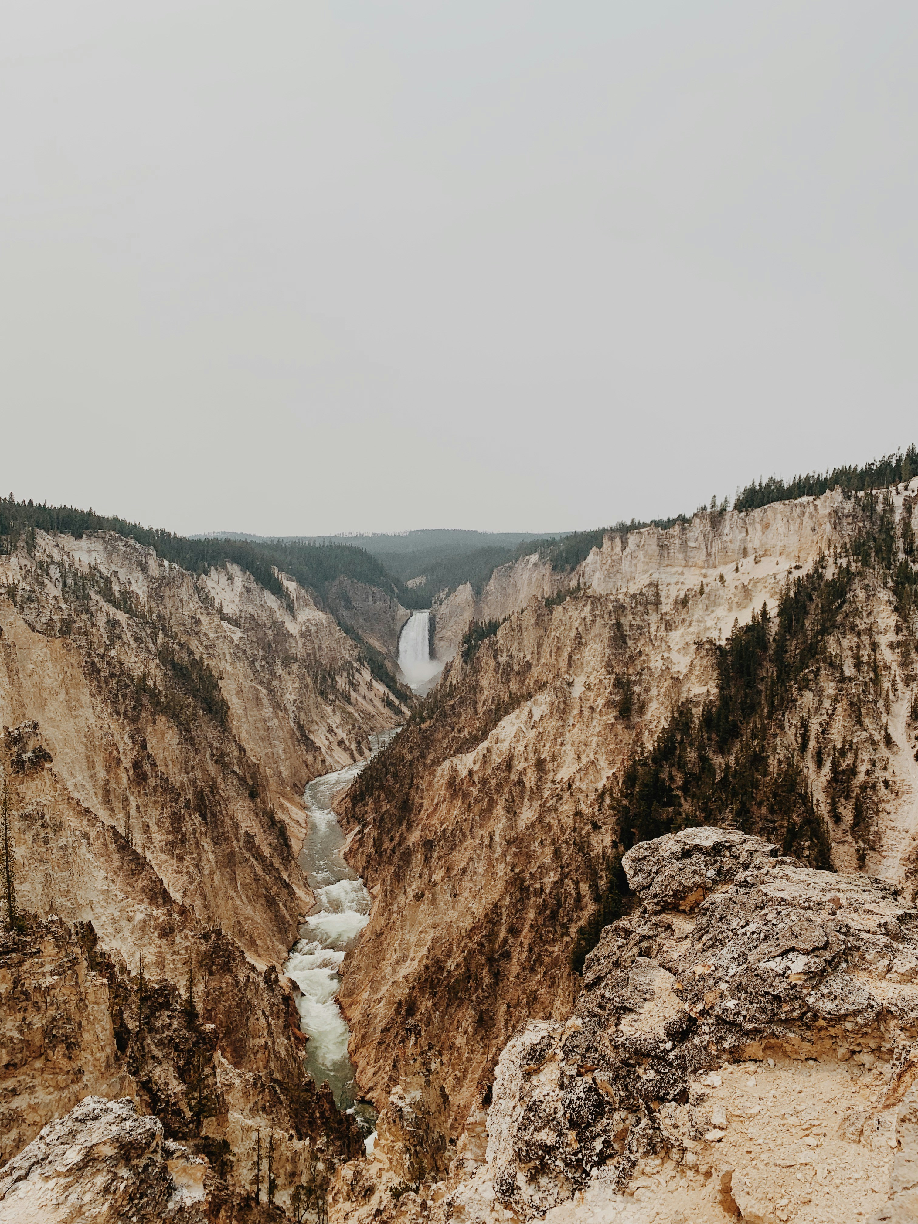 Adobe Pictures | Download Free Images on Unsplash