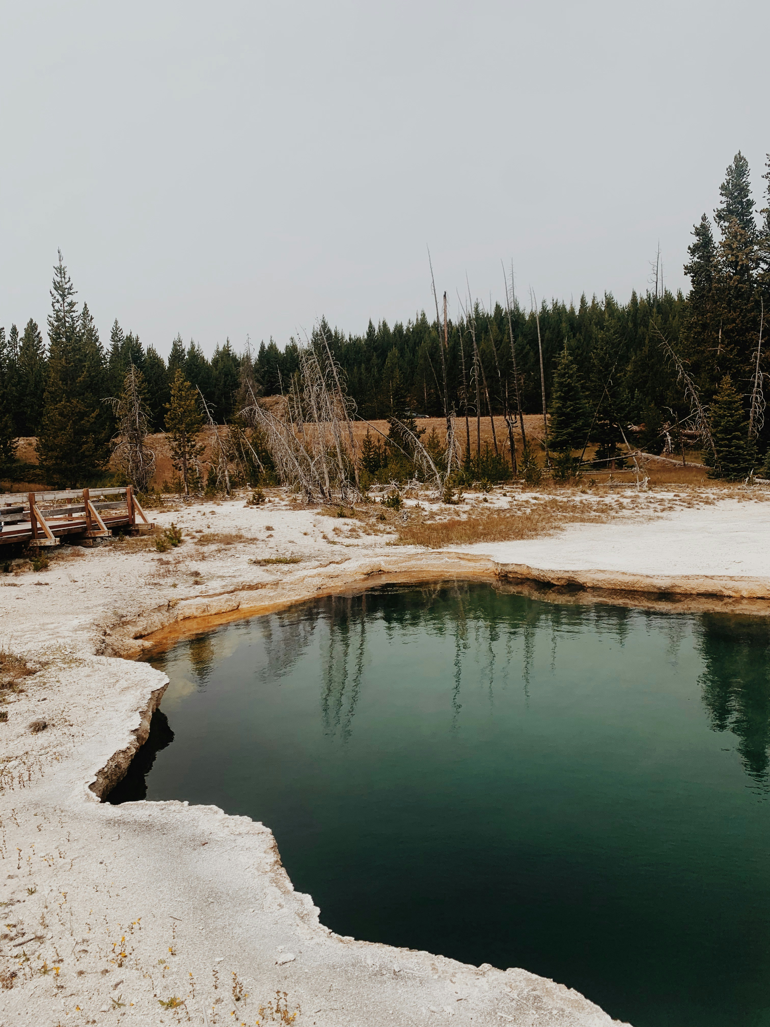 Photo by brendencampana