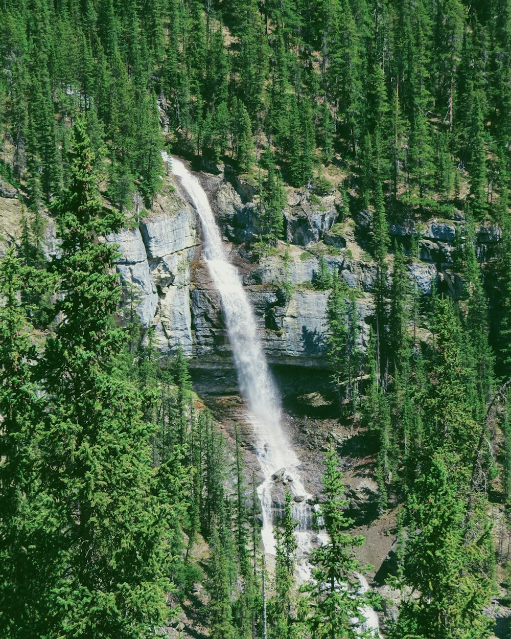 green trees near waterfalls during daytime