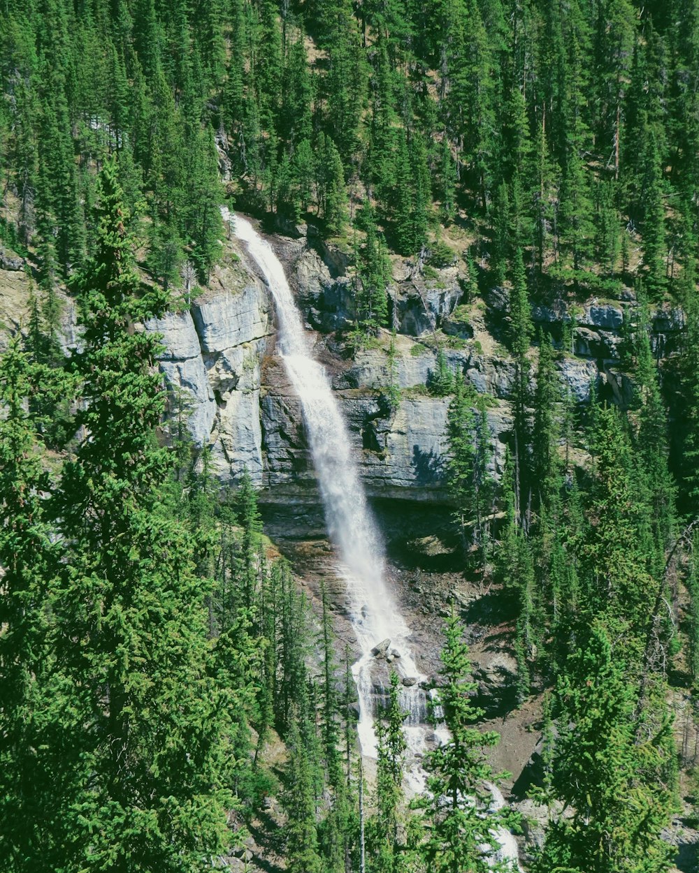 Árboles verdes cerca de cascadas durante el día