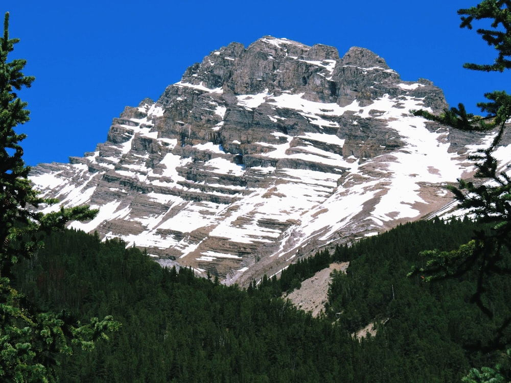 Montaña cubierta de nieve durante el día