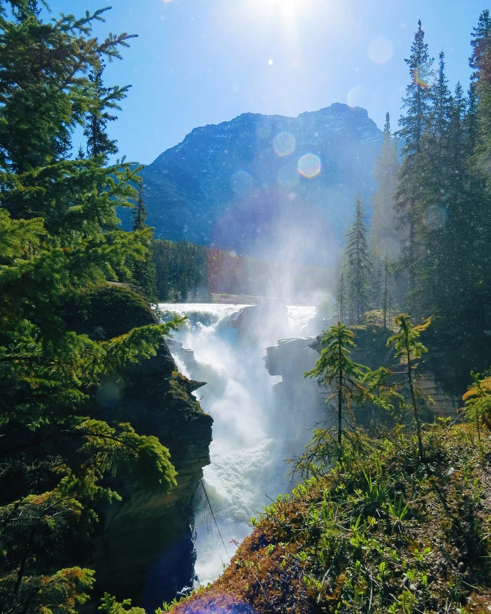 waterfalls in the middle of green trees during daytime