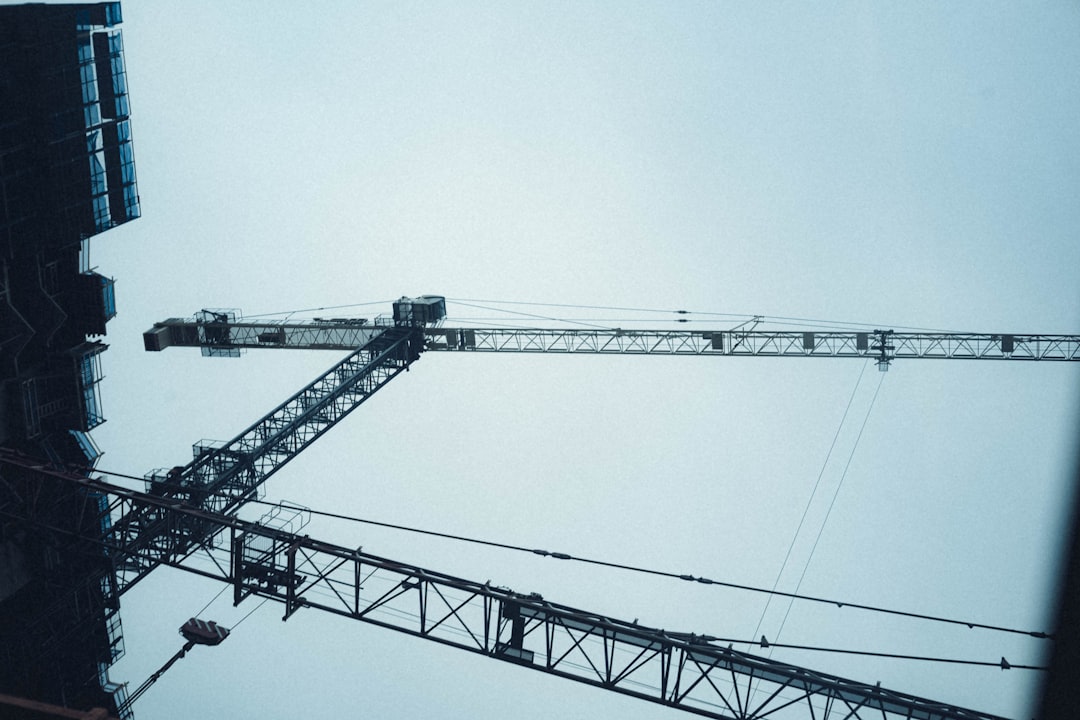 black crane under white sky