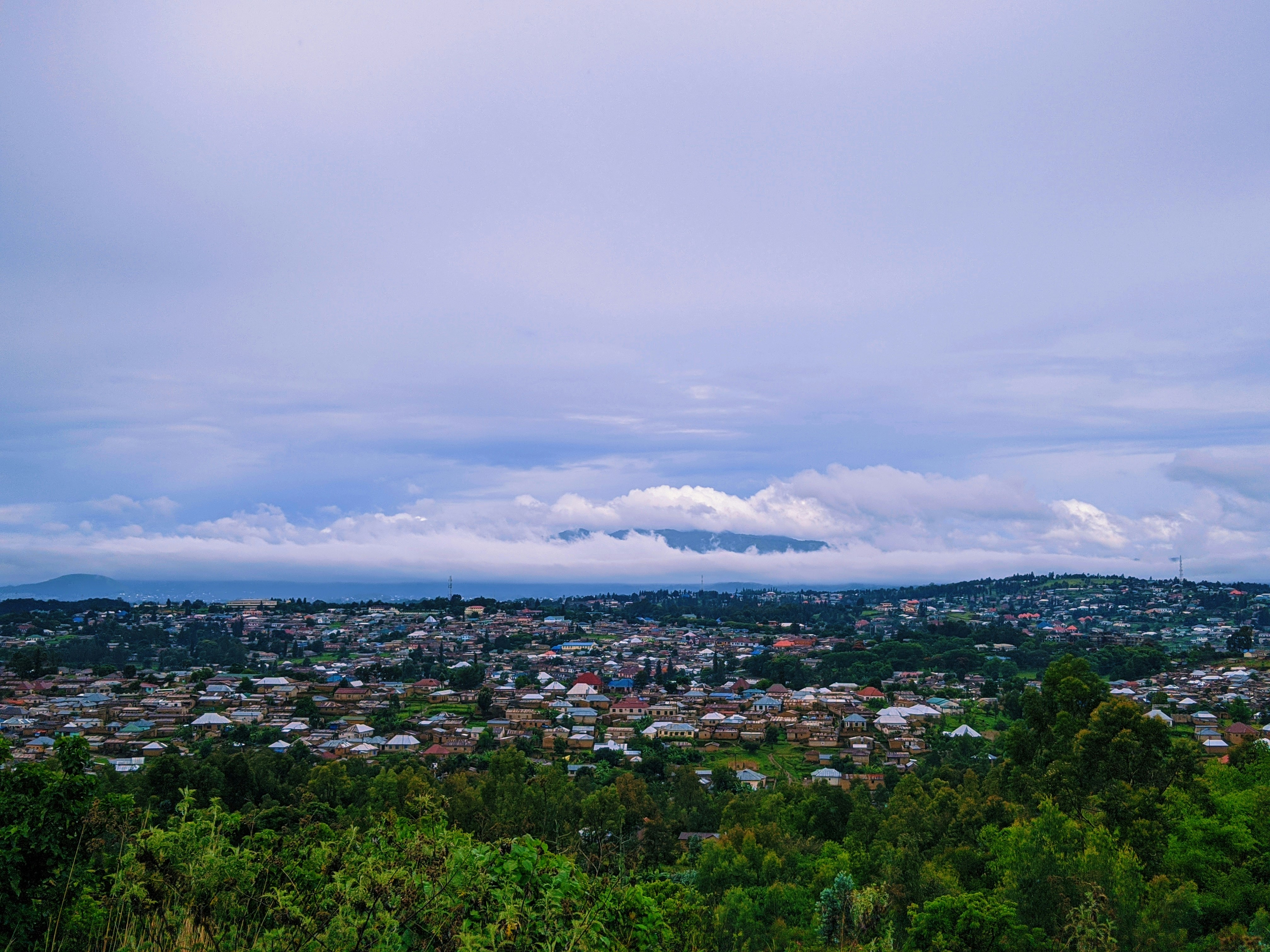 green trees and city buildings under white clouds and blue sky during daytime