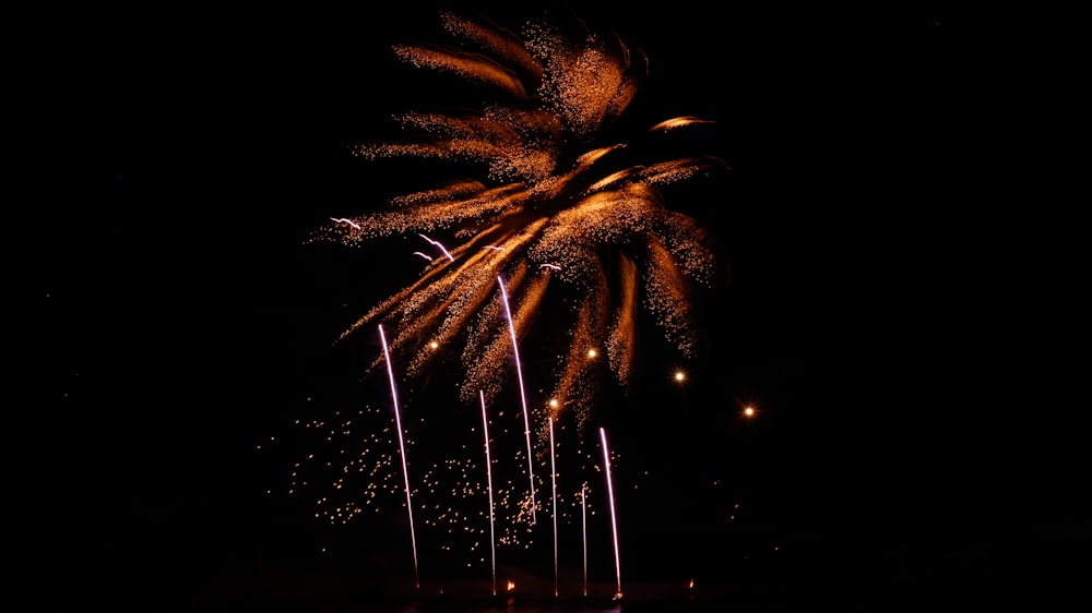 a fireworks is lit up in the night sky