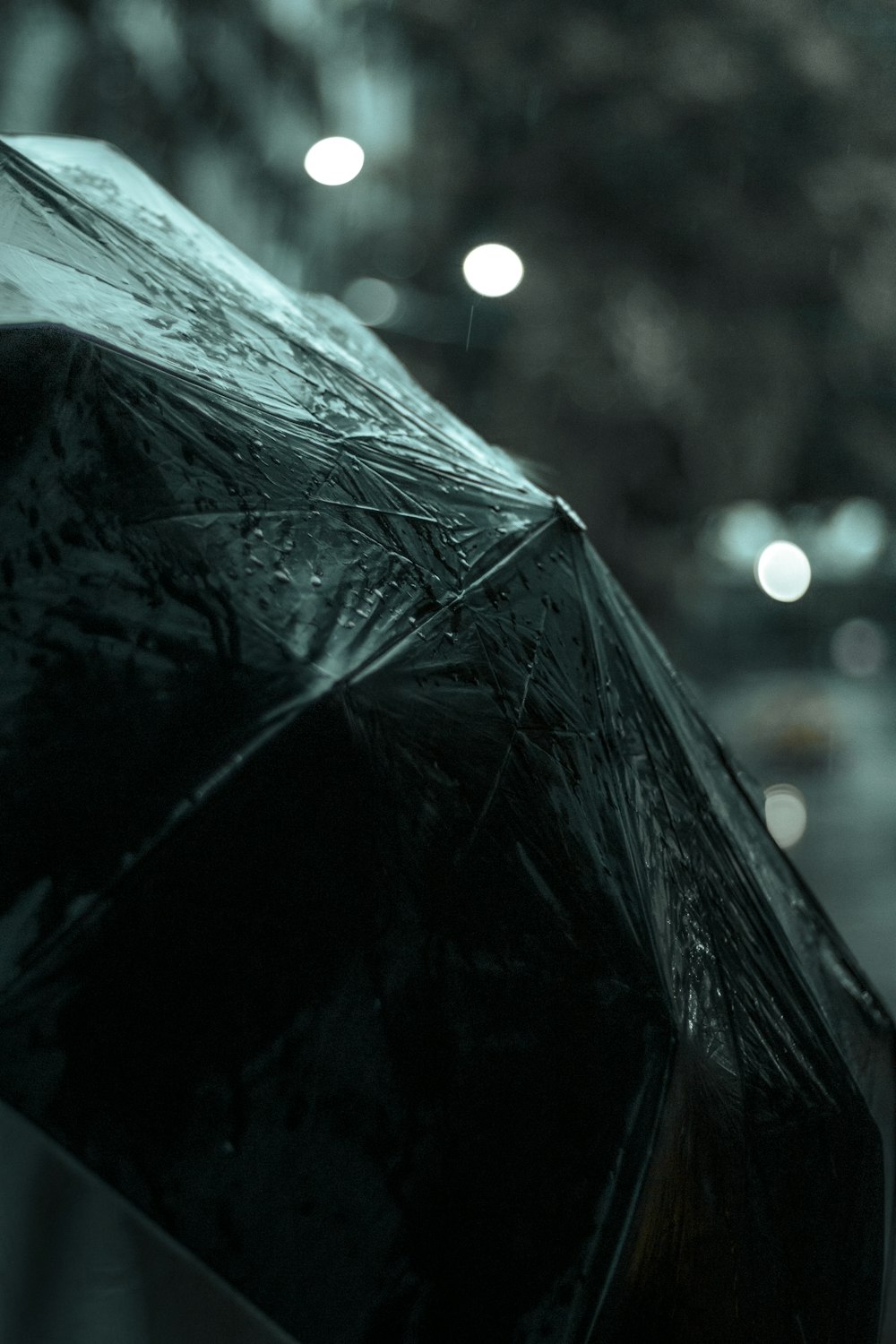 black umbrella in bokeh photography