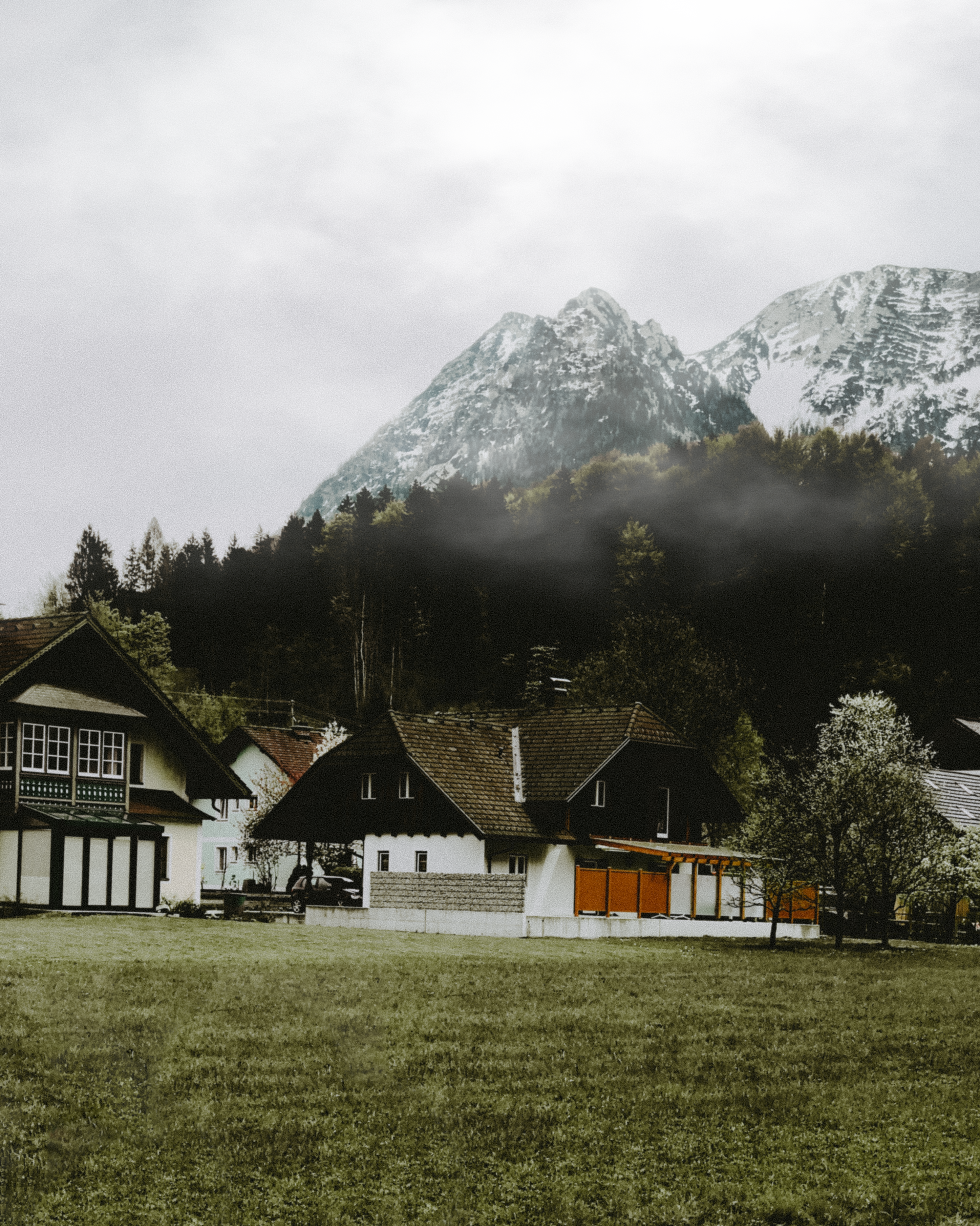 Photo by mark_zuravski