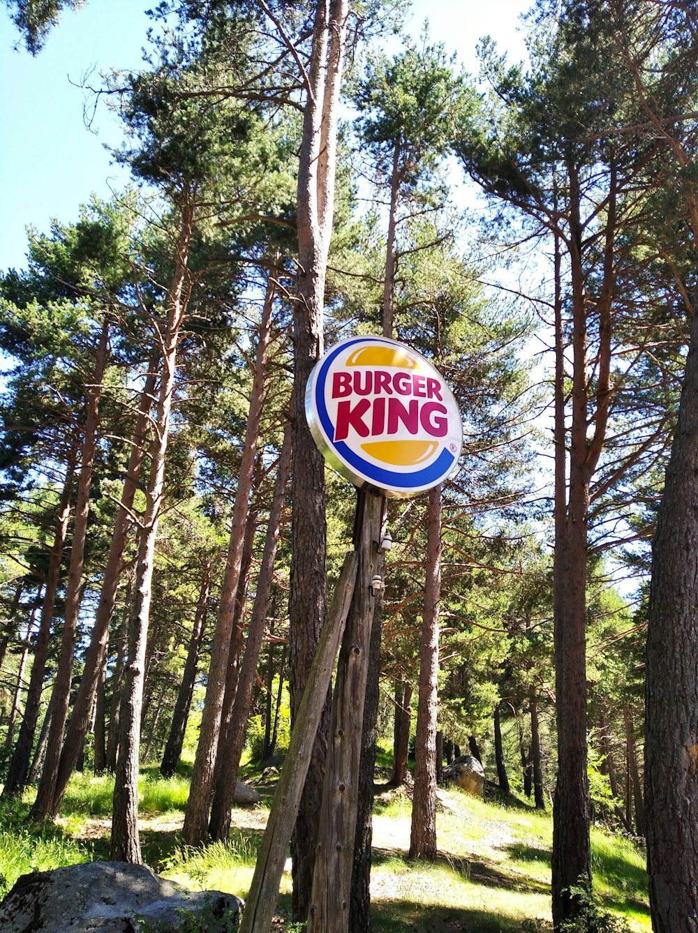 a burger king sign hanging from the side of a tree