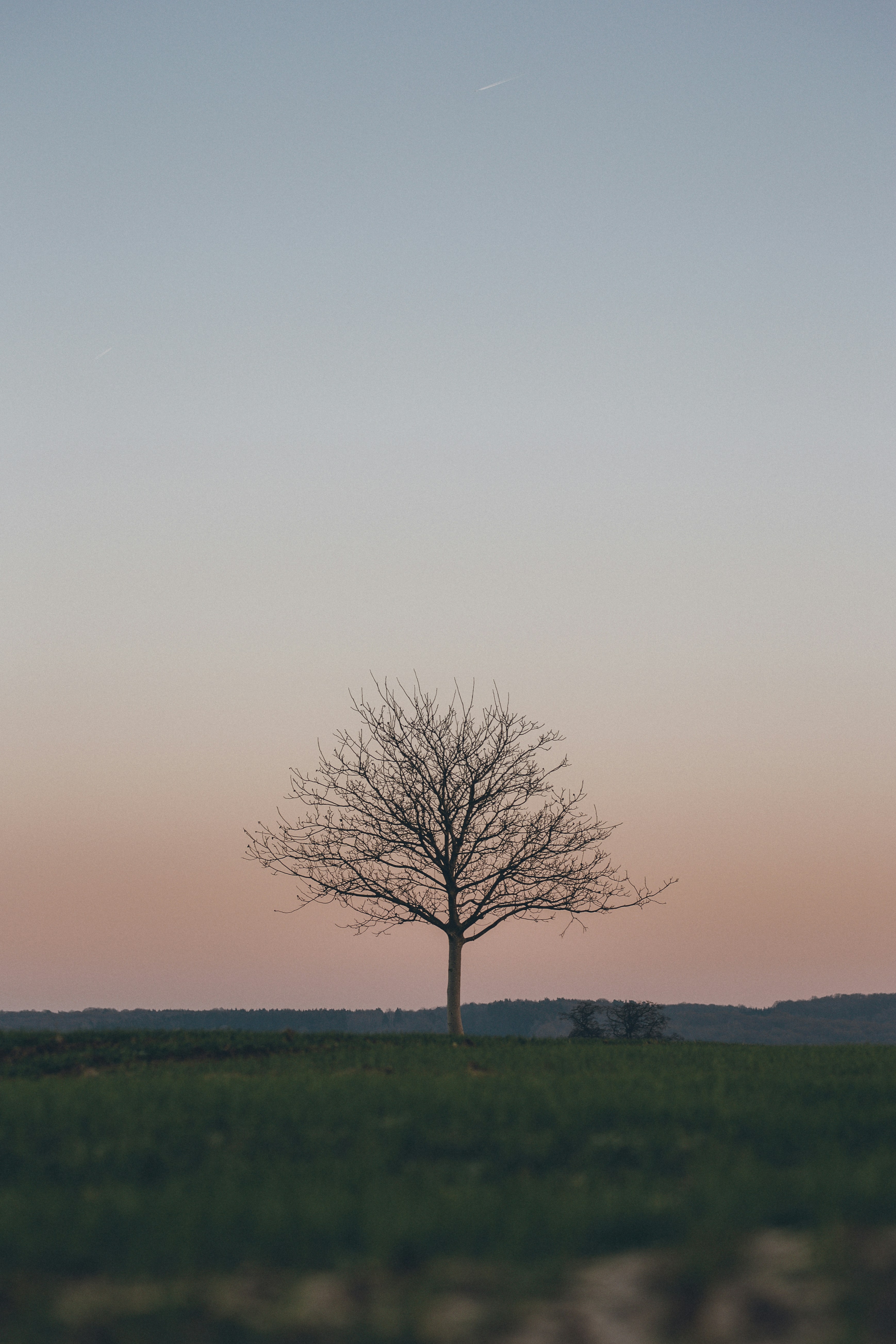 Photo by amadeusvonbibra