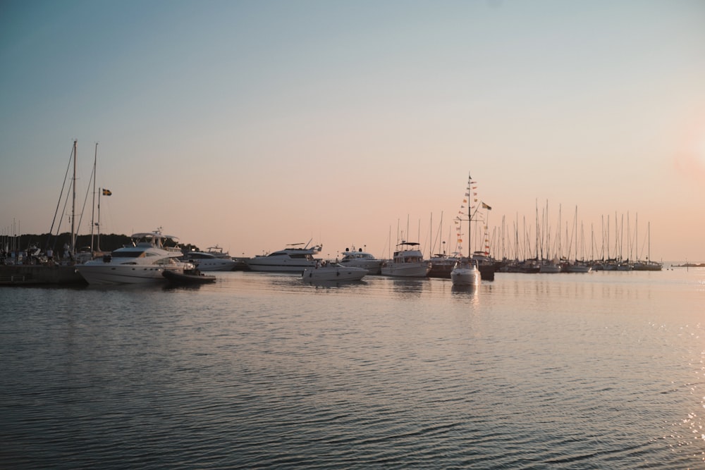 white boat on sea during daytime