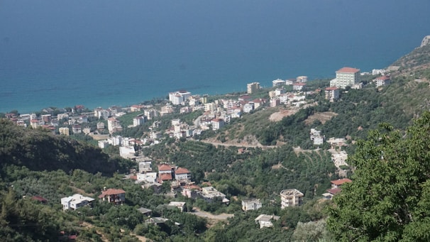 A panoramic view of a coastal town with community buildings and green spaces.