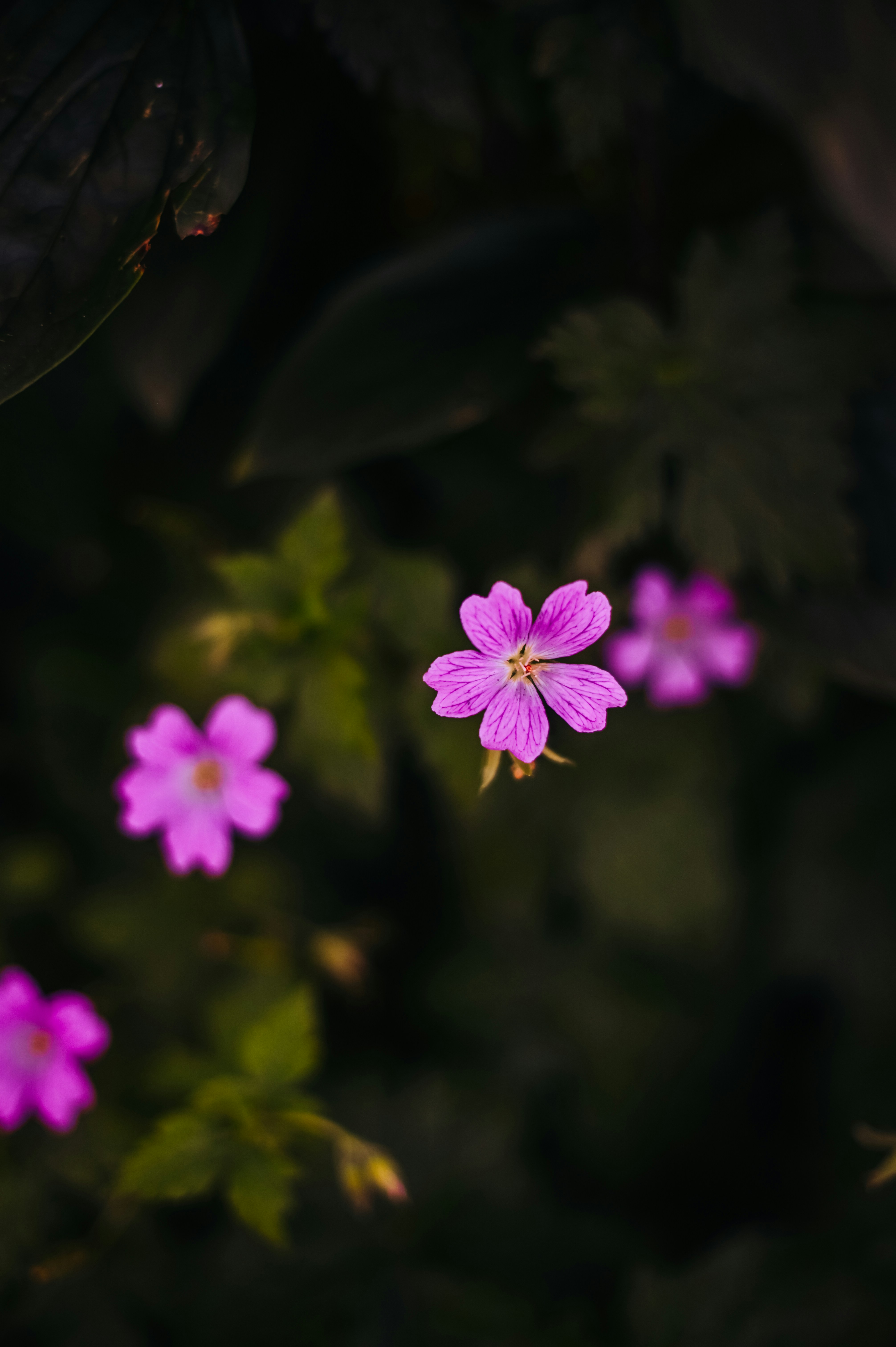 Photo by gaellemarcel