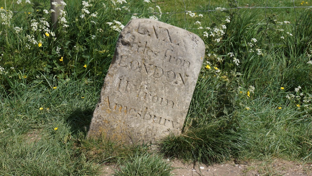 pietra tombale in cemento grigio vicino all'erba verde